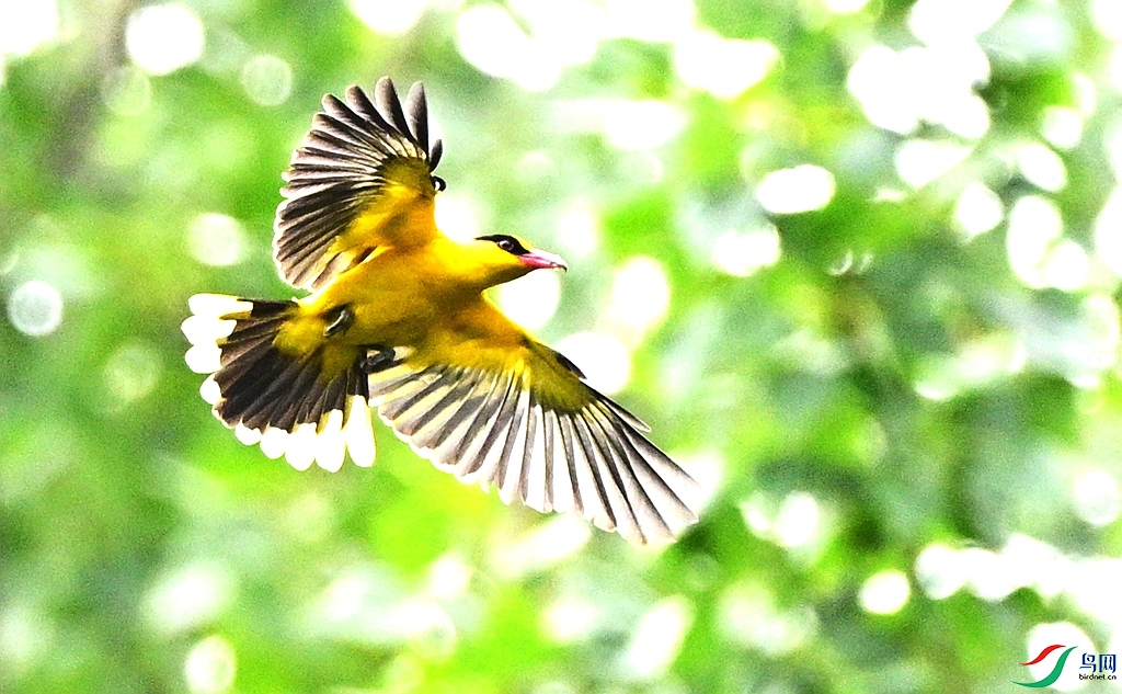 DSC_3969.JPG