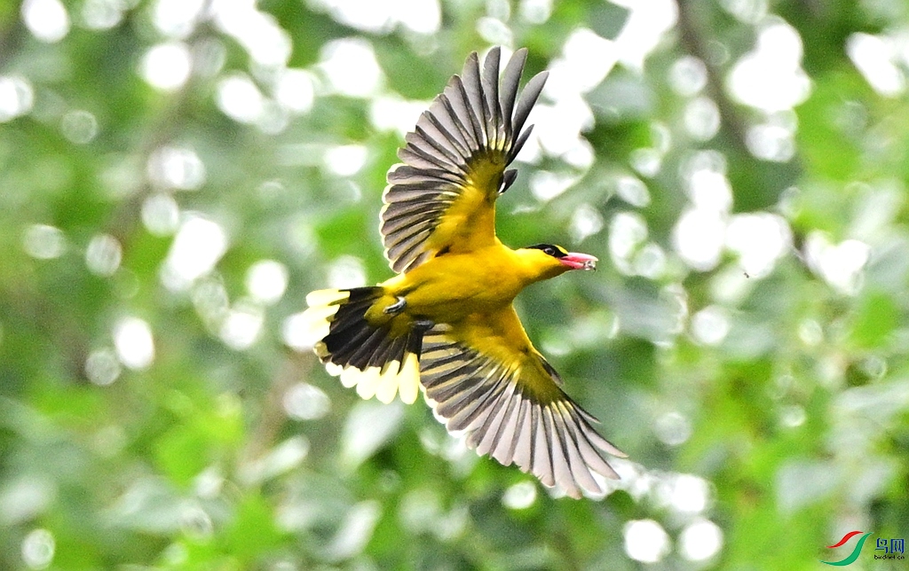 DSC_3971.JPG