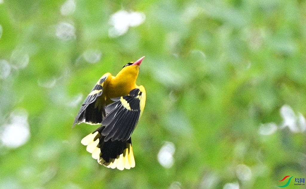 DSC_4478.JPG