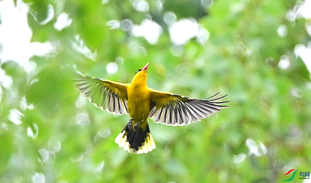 DSC_4480.JPG