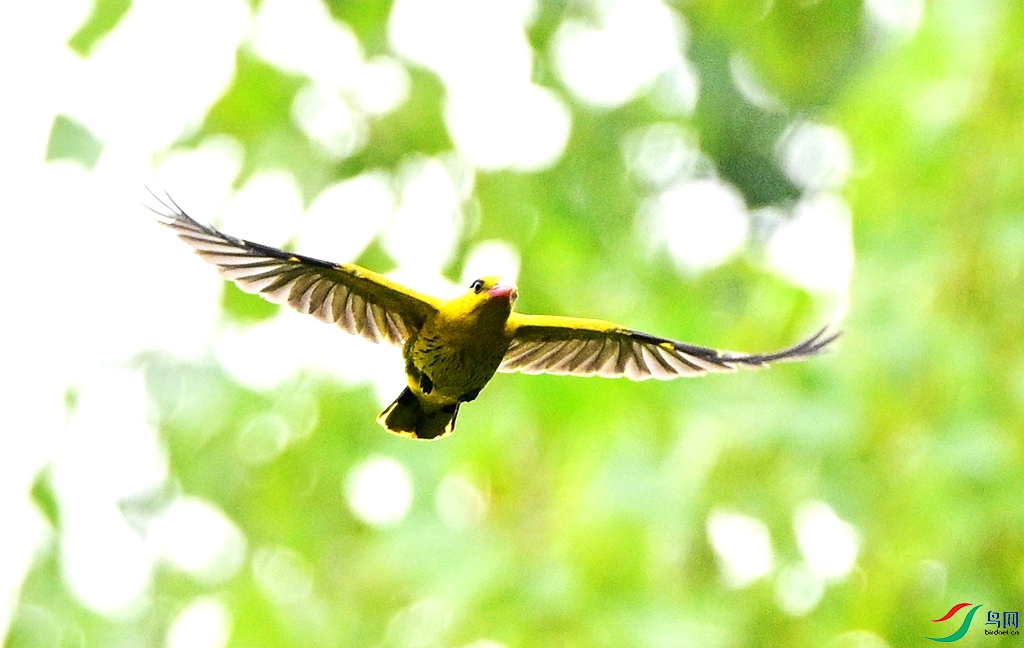 DSC_4607.JPG