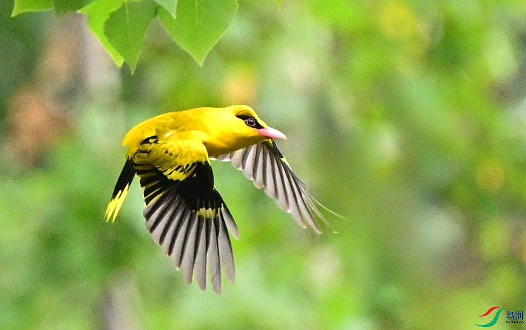DSC_7031.JPG