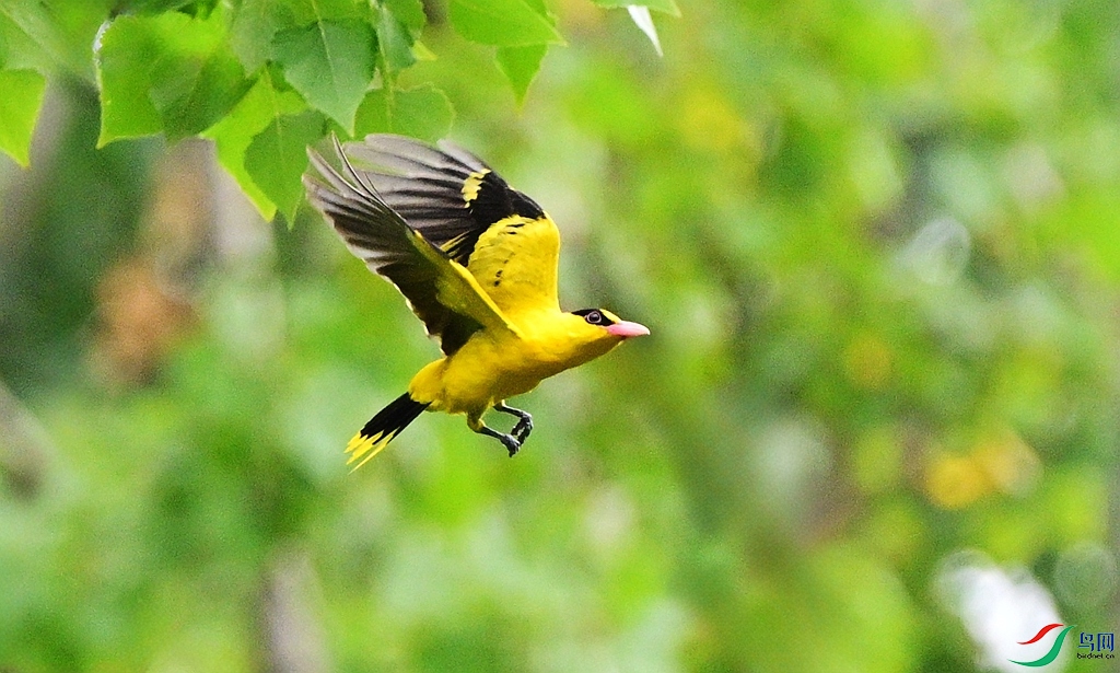 DSC_7032.JPG
