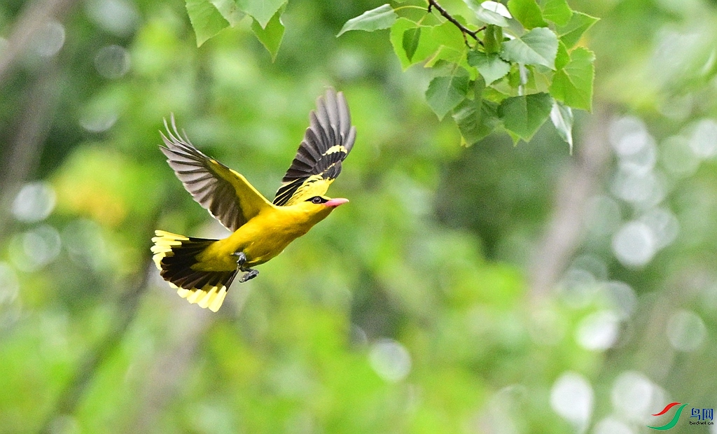 DSC_7044.JPG