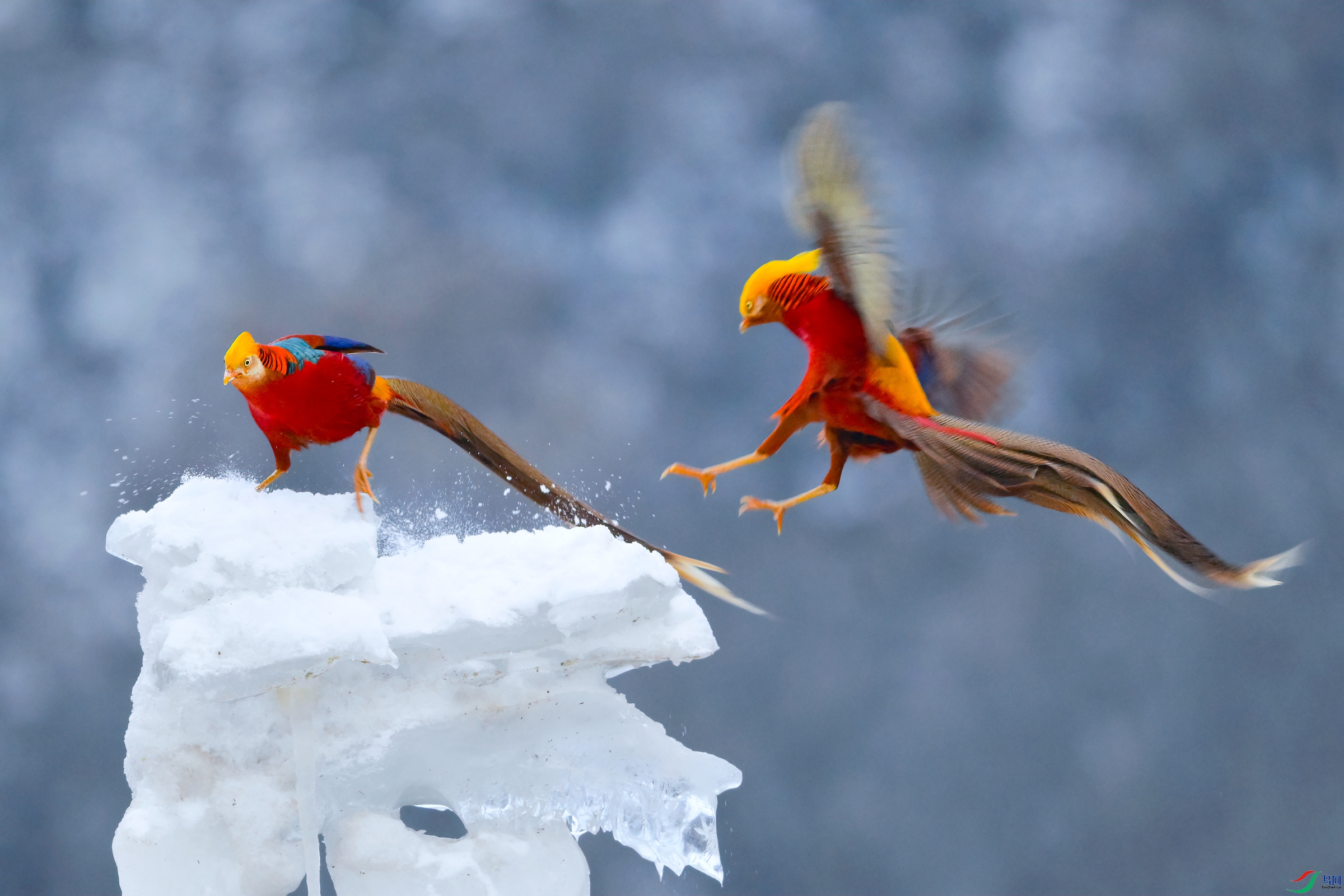 _DSC7263x.jpg