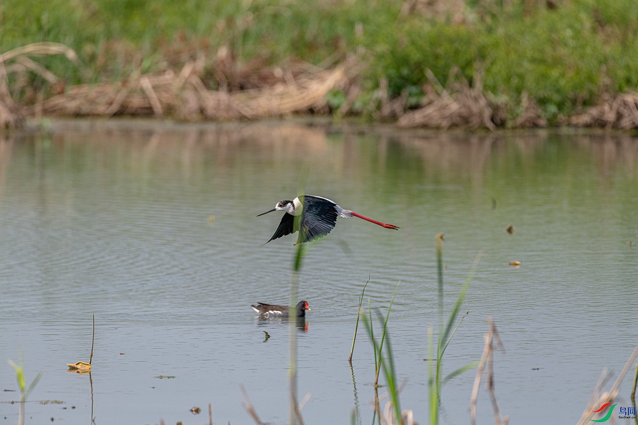 DSC_6277.jpg