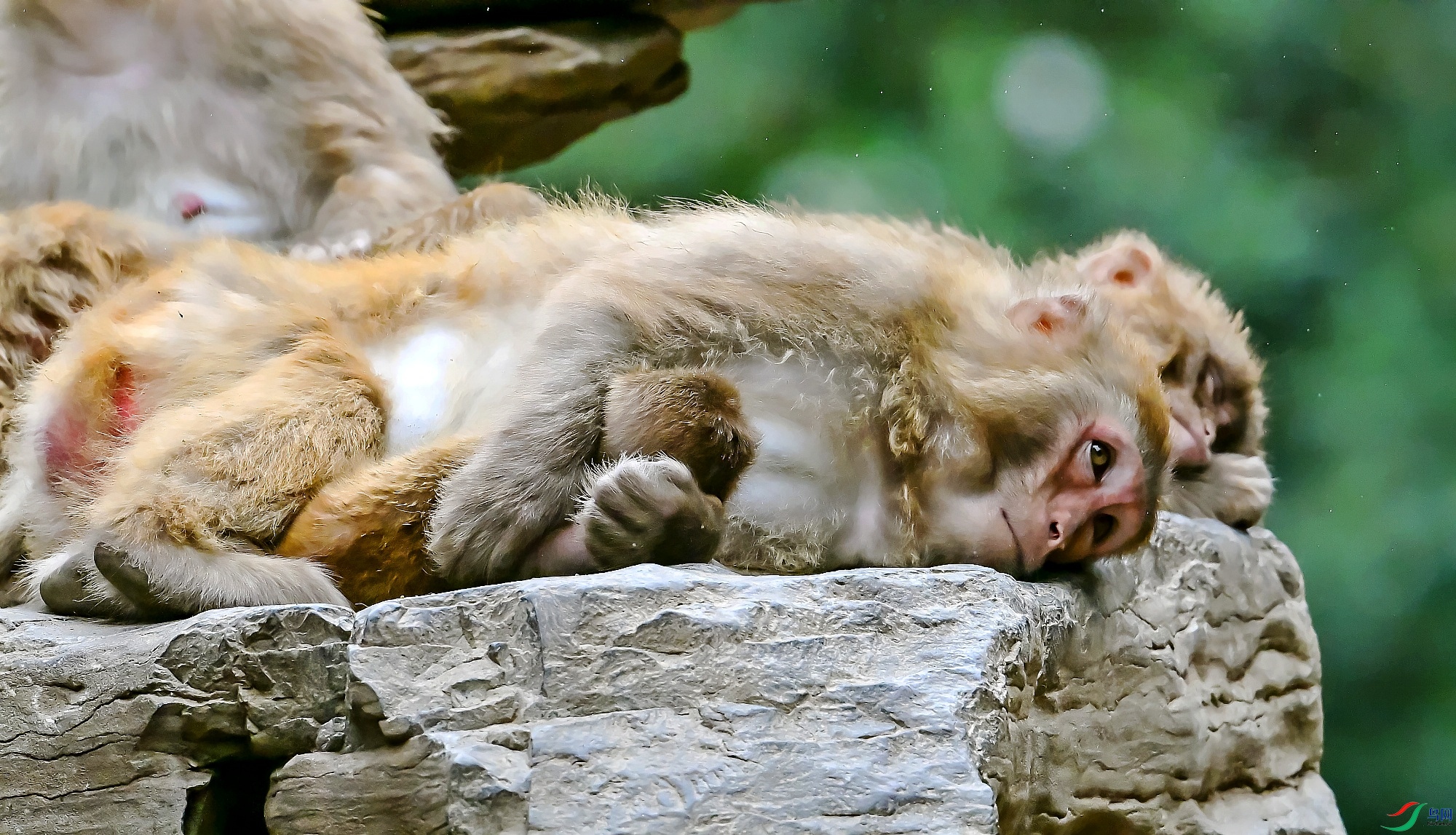 DSC_8787˯һ��.jpg