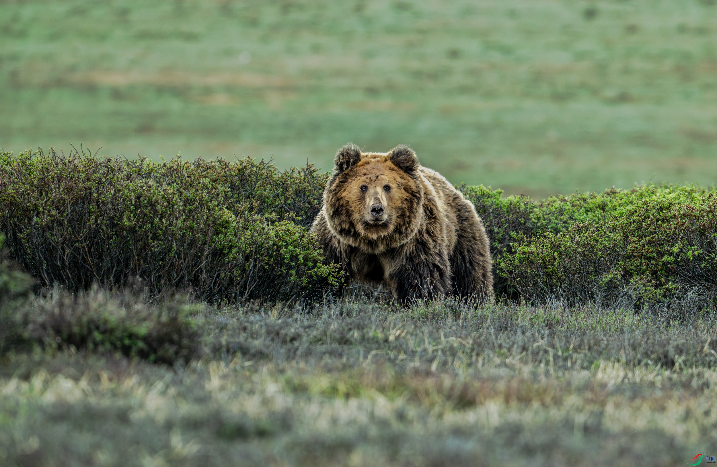 _DSC3868.jpg