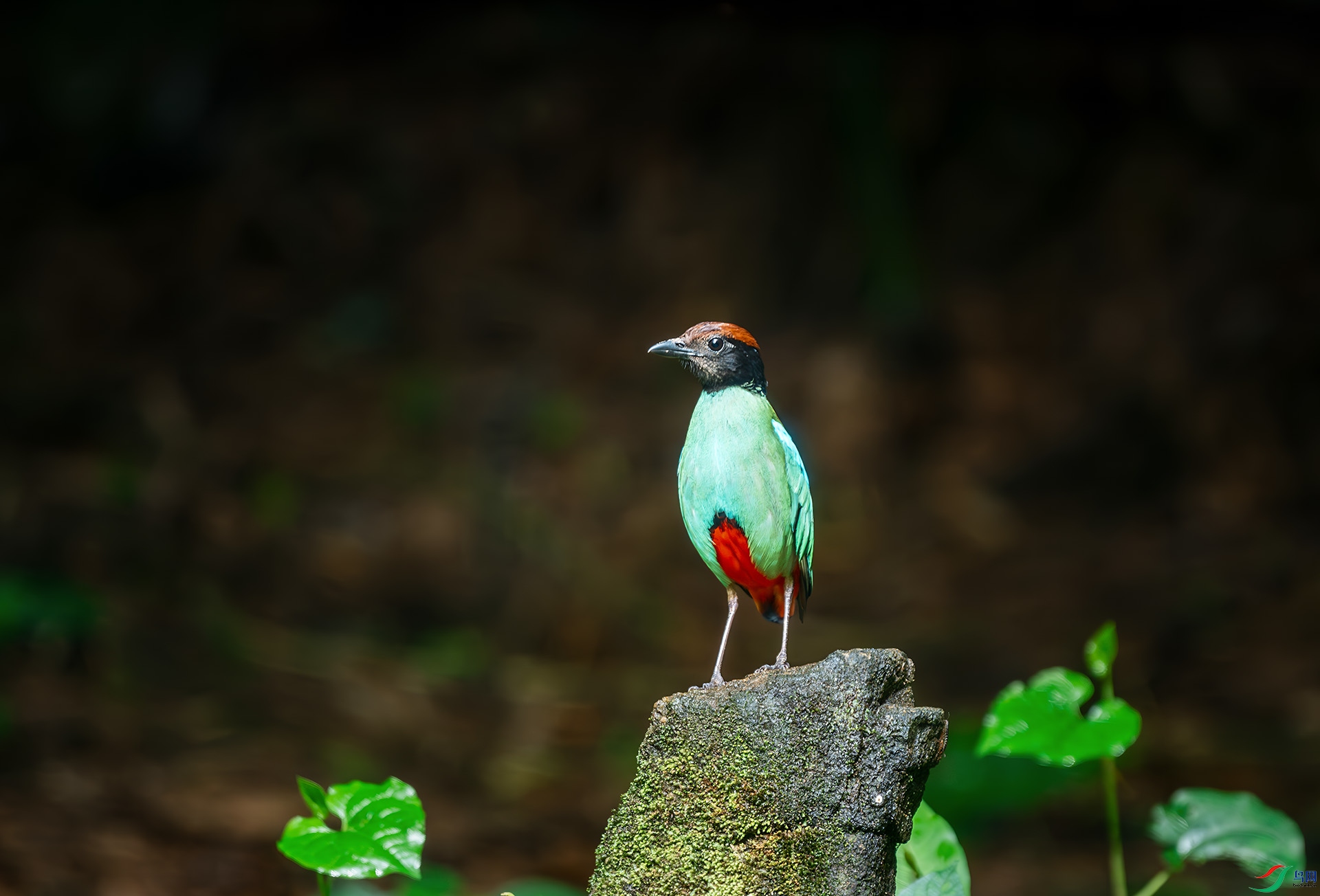 DSC_8870.jpg