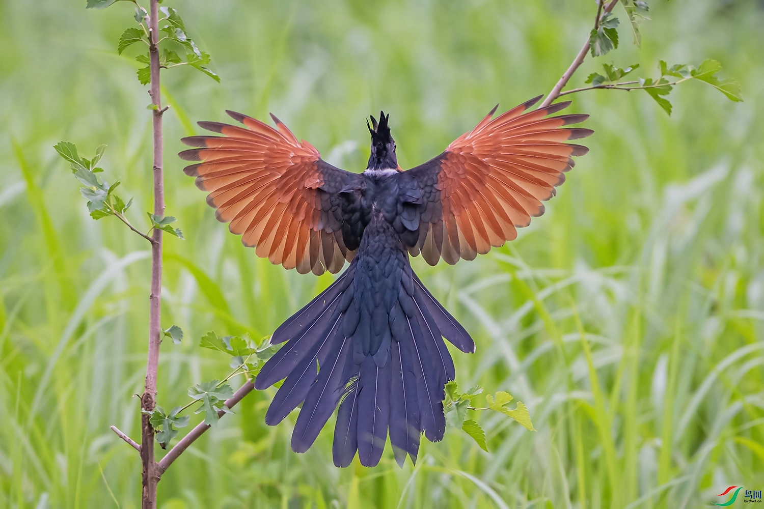 DSC_1760.jpg