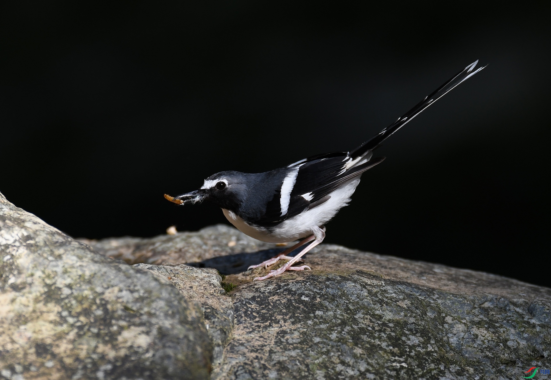 DSC_9360.jpg