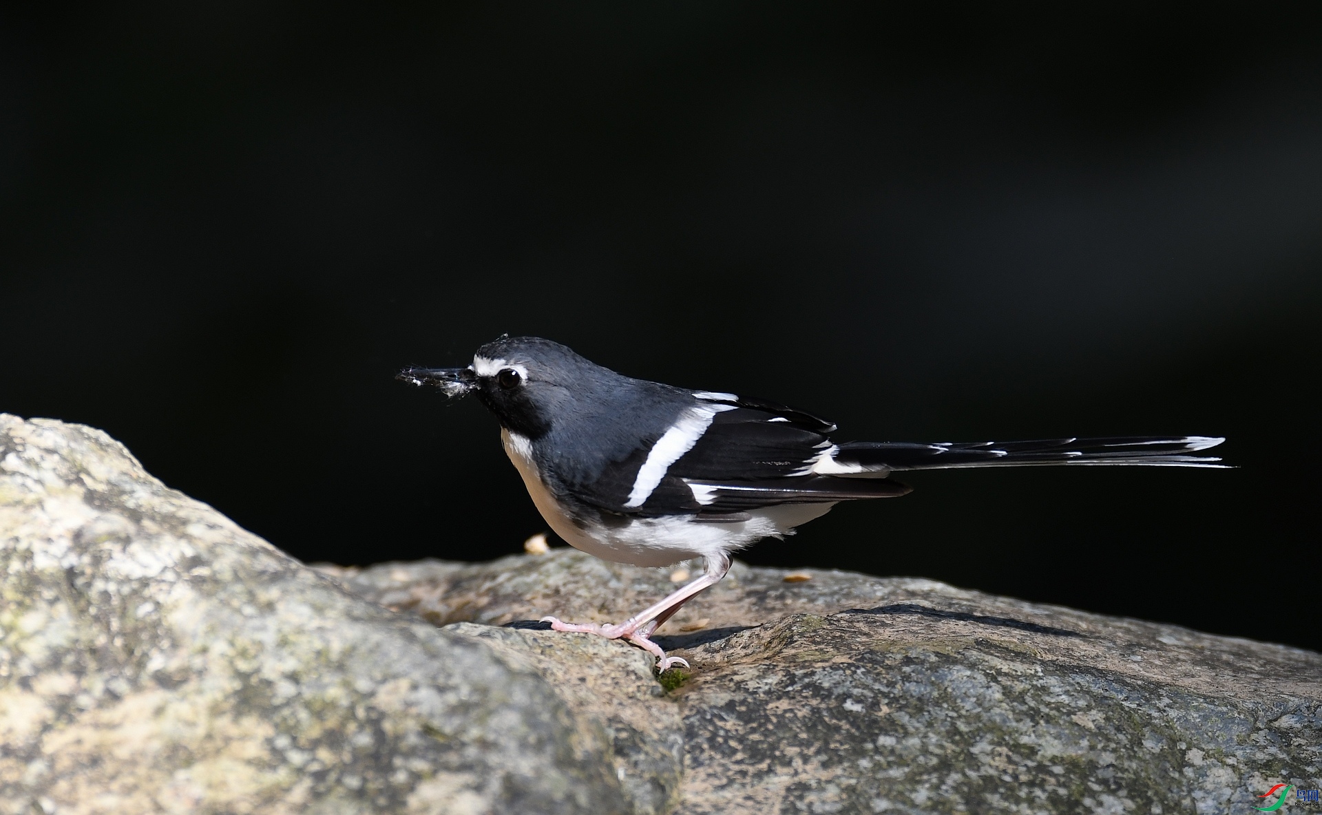 DSC_9357.jpg