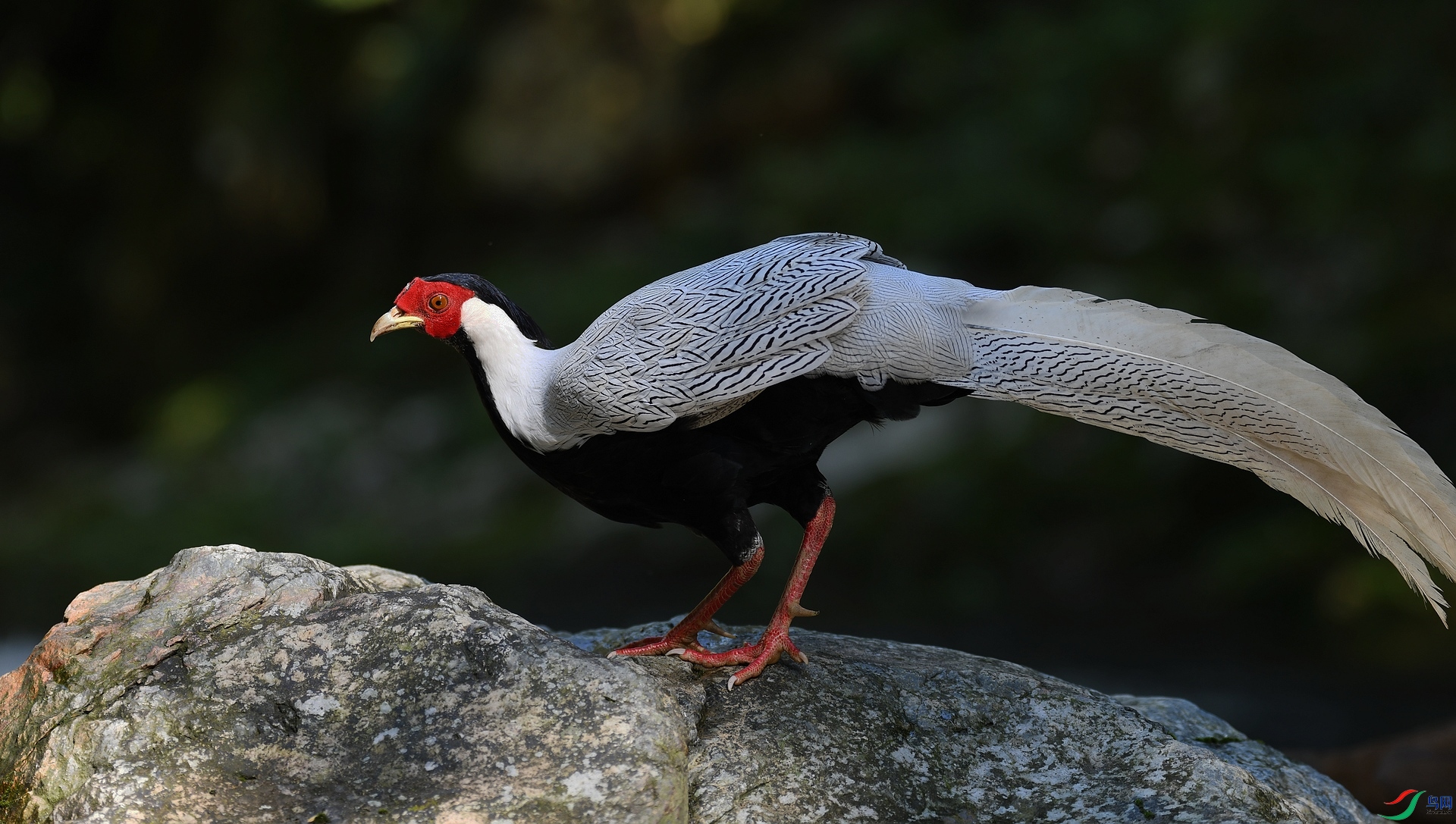 DSC_8793.jpg