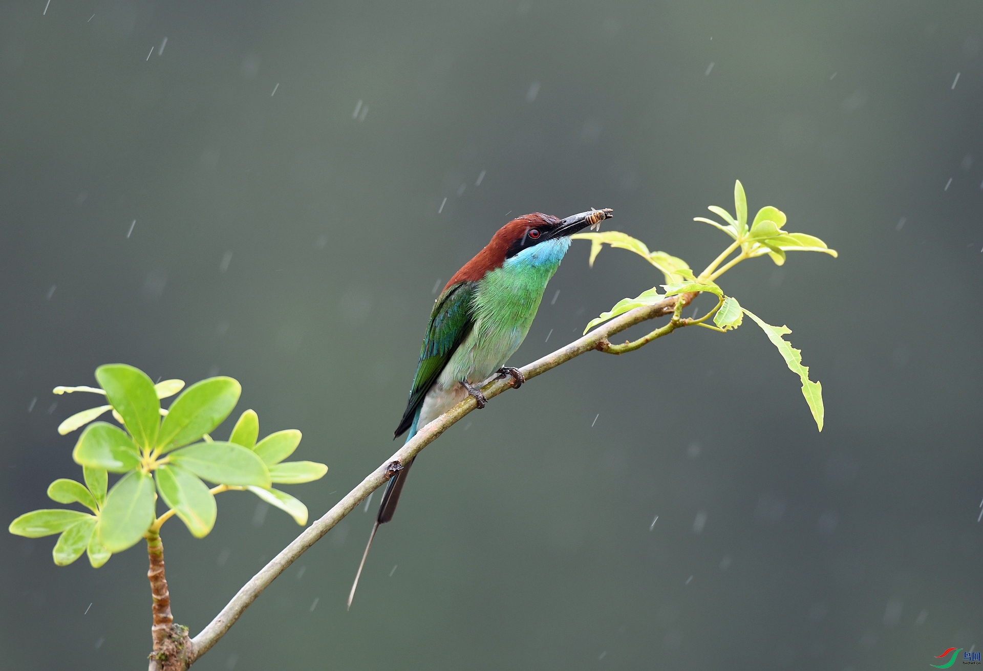 DSC_9146.jpg