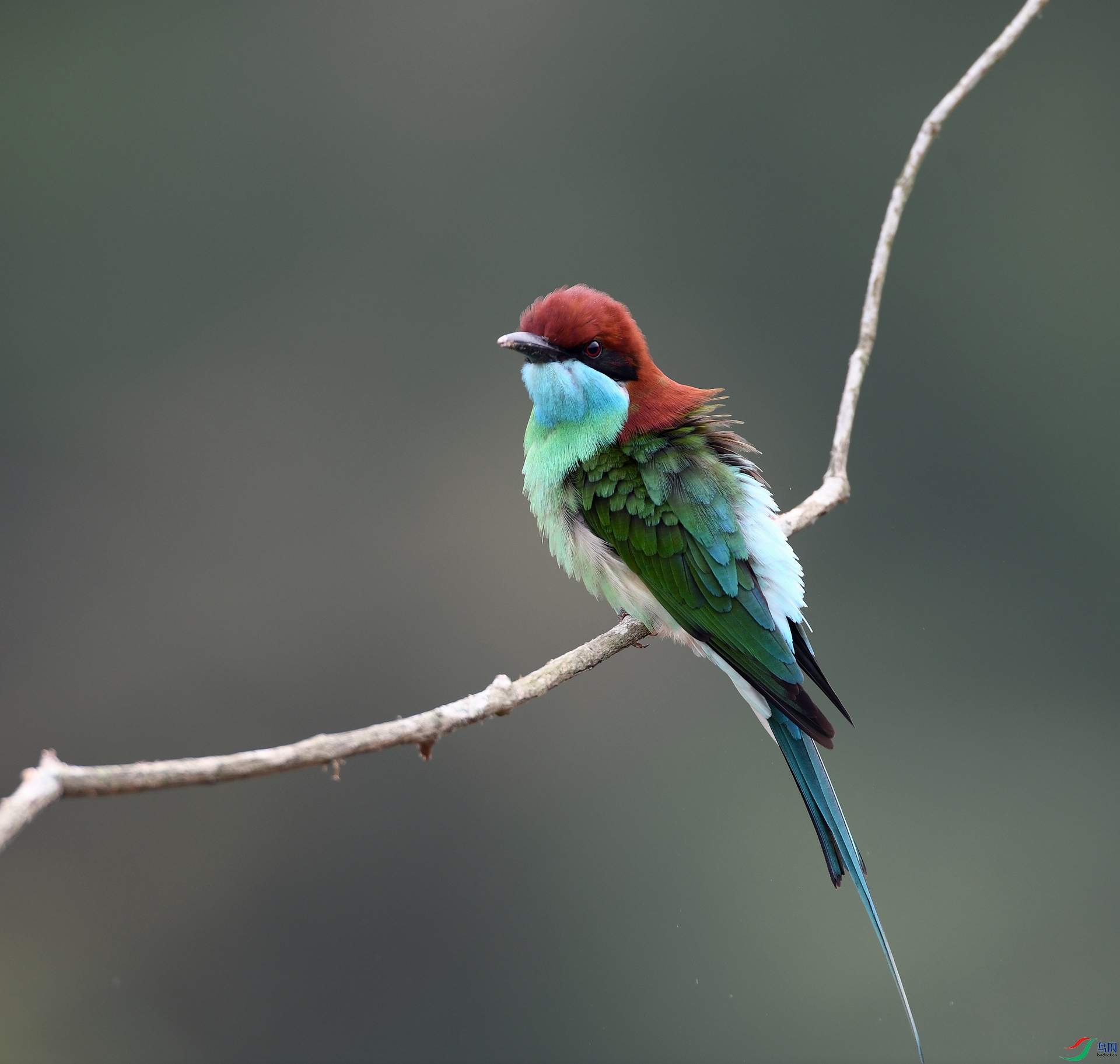 DSC_8717.jpg