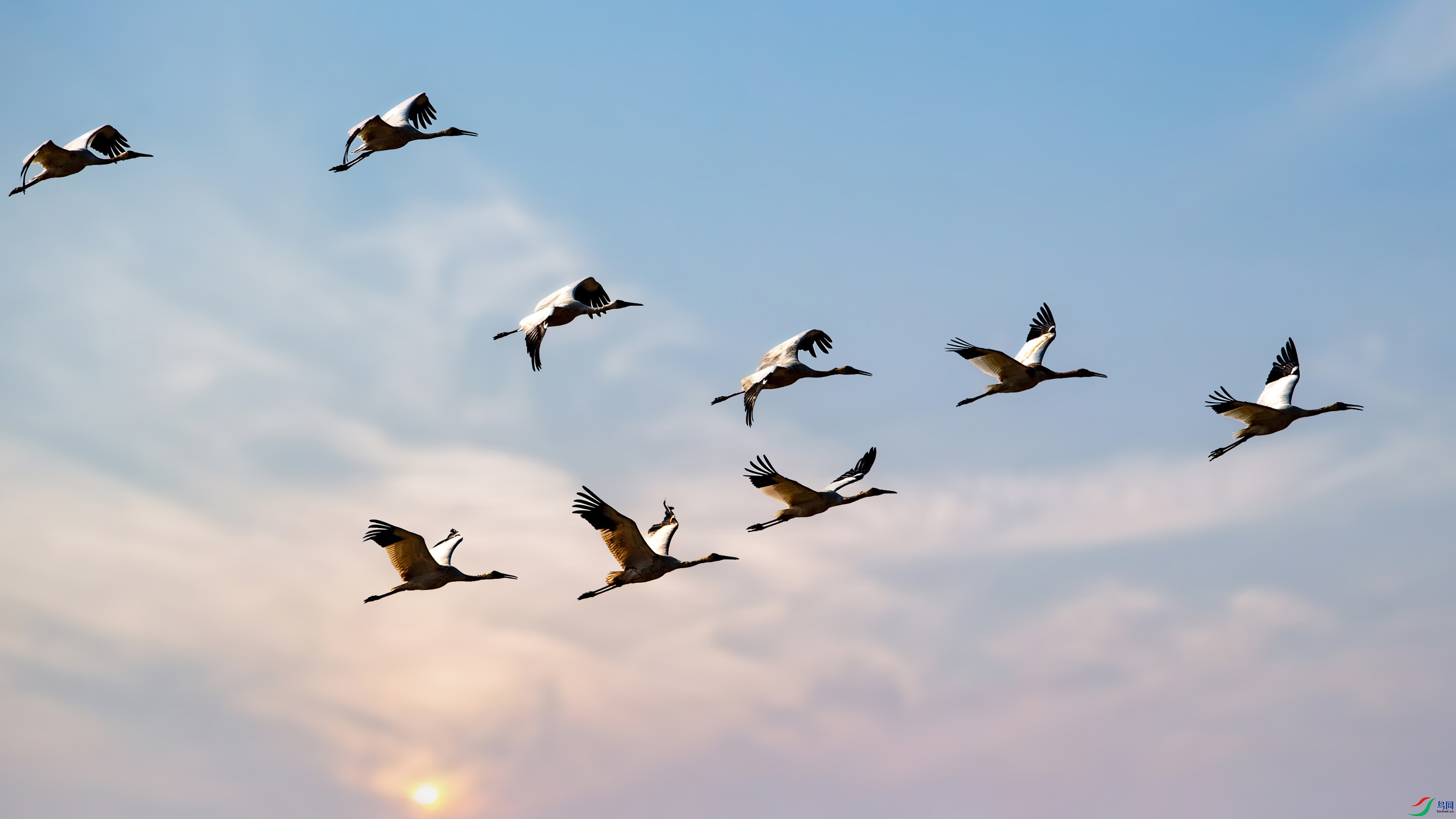 AM3I1109.jpg