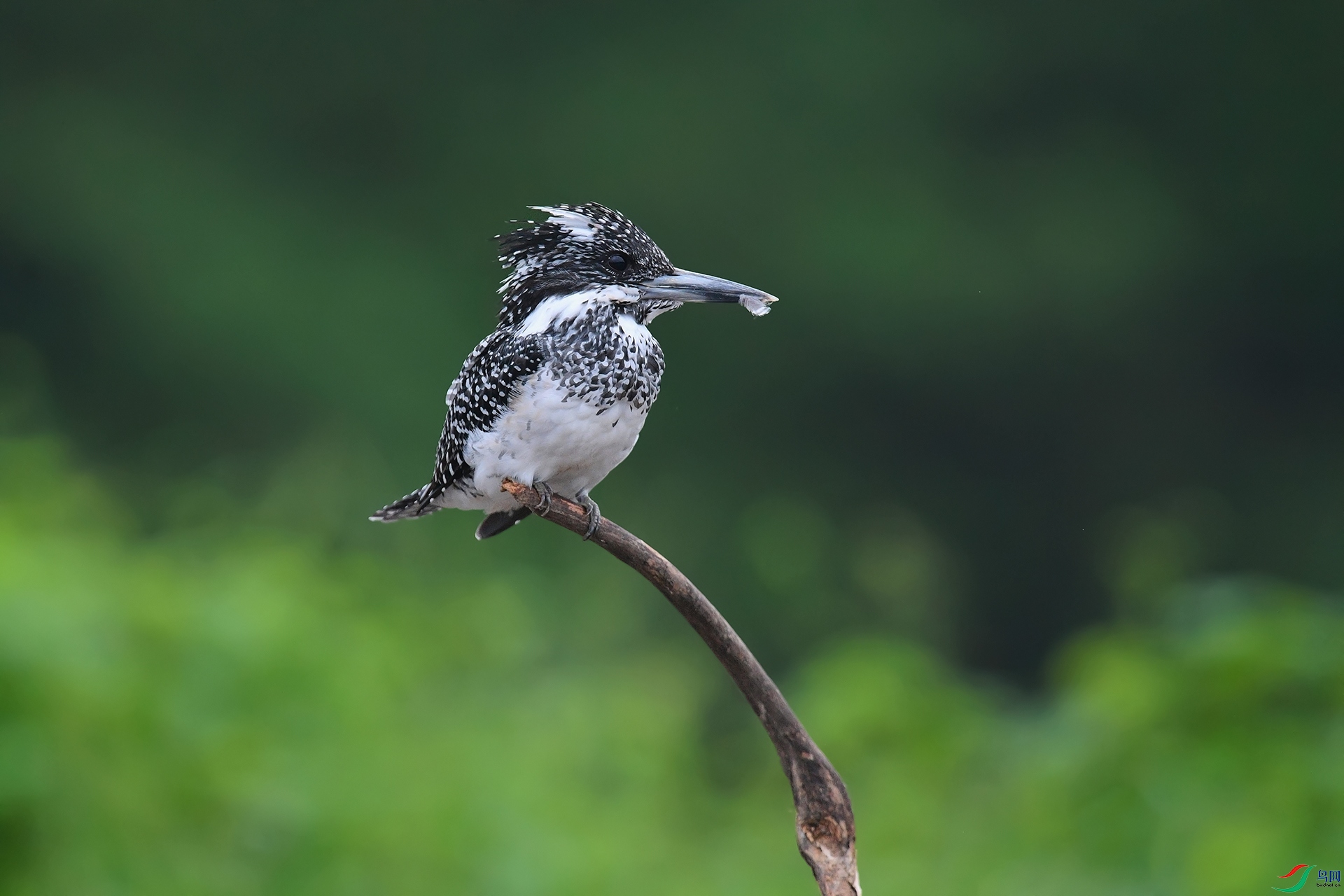2DSC_2395_DxOa.jpg