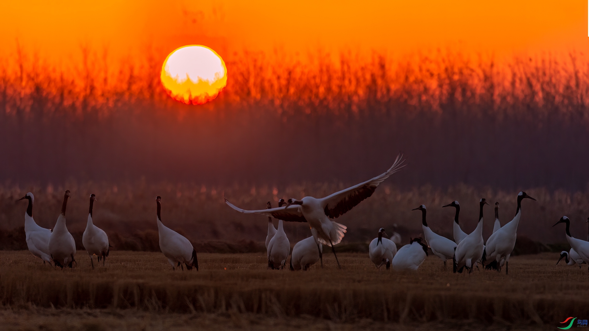 DSC_8641-11.jpg