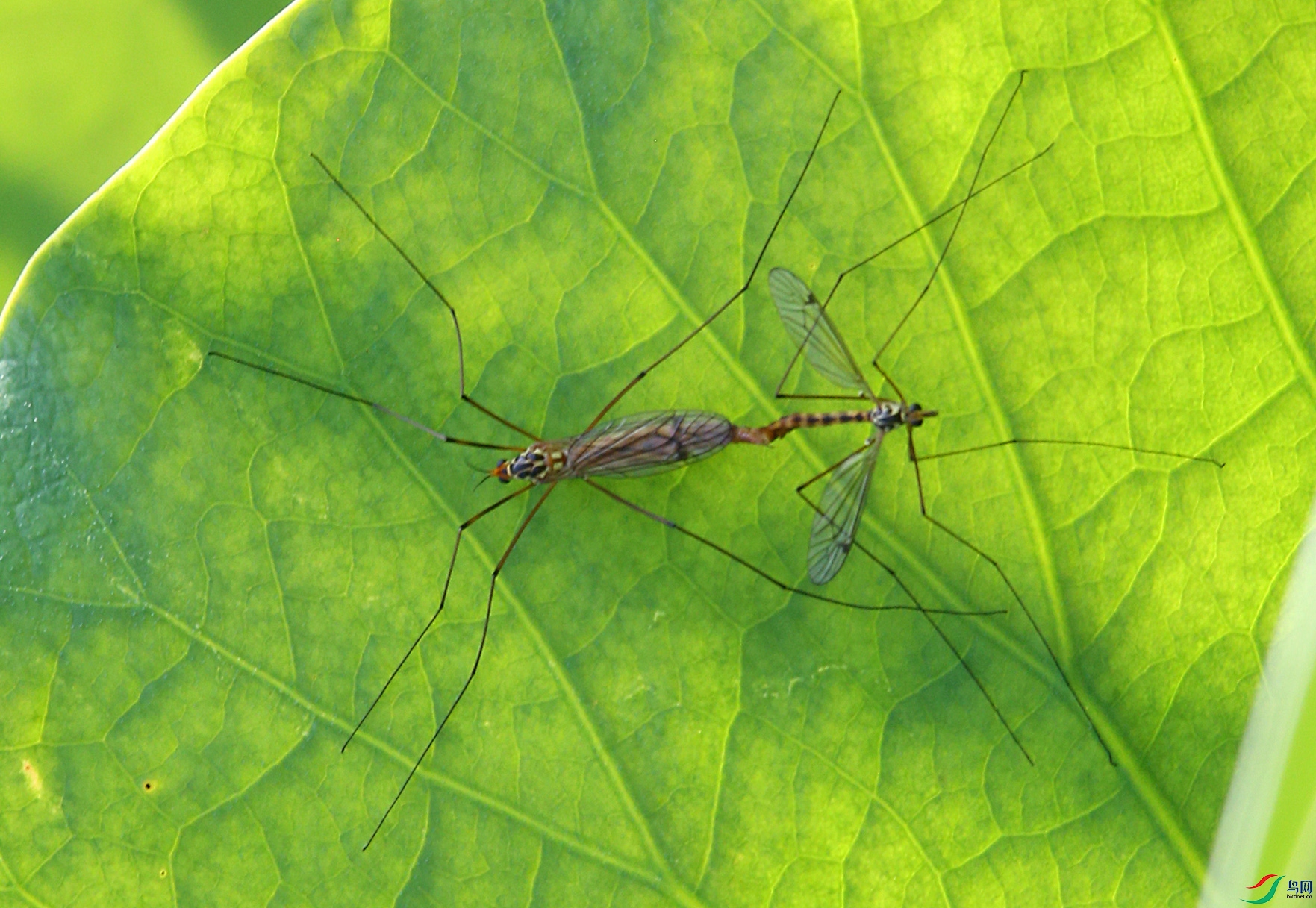 AR7T6180.JPG