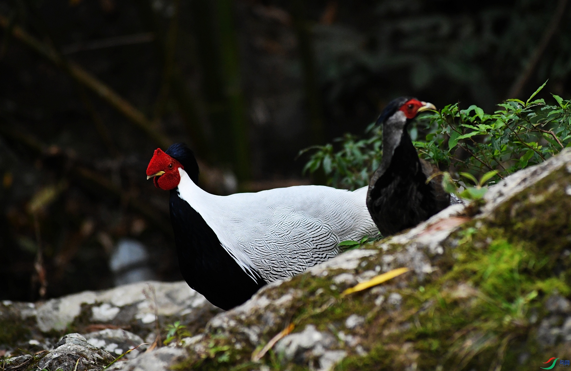 DSC_9380.jpg