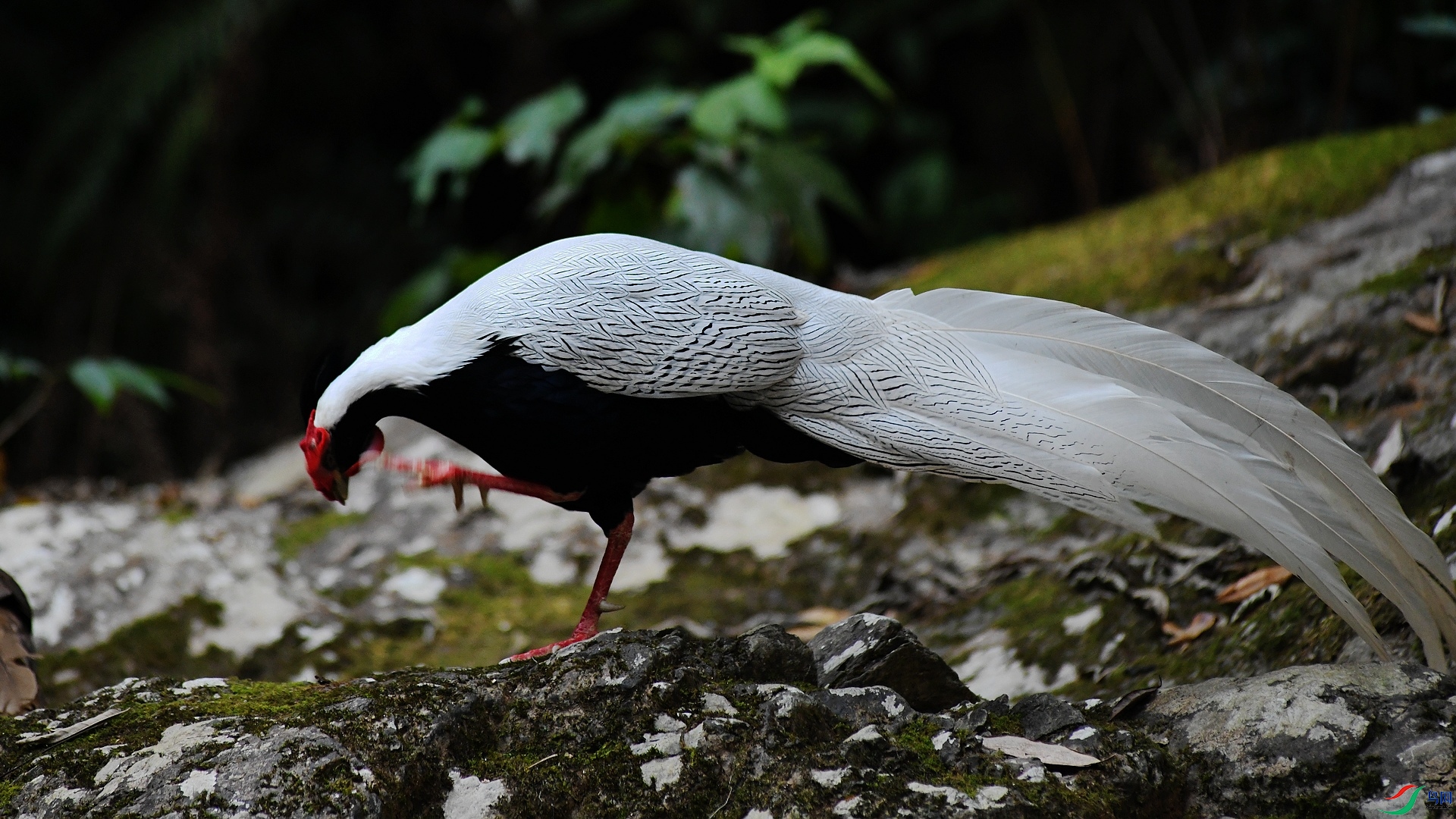 DSC_9385.jpg