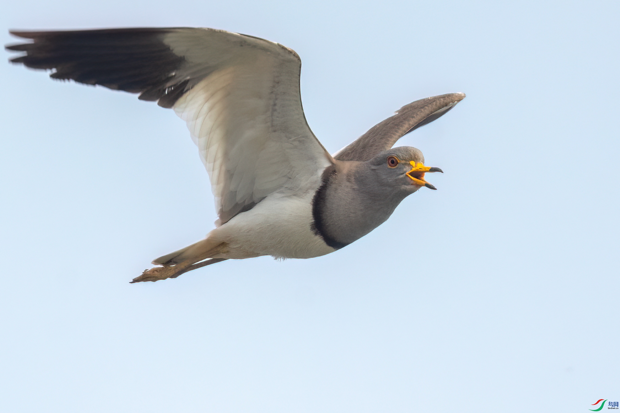 DSC_0311.jpg