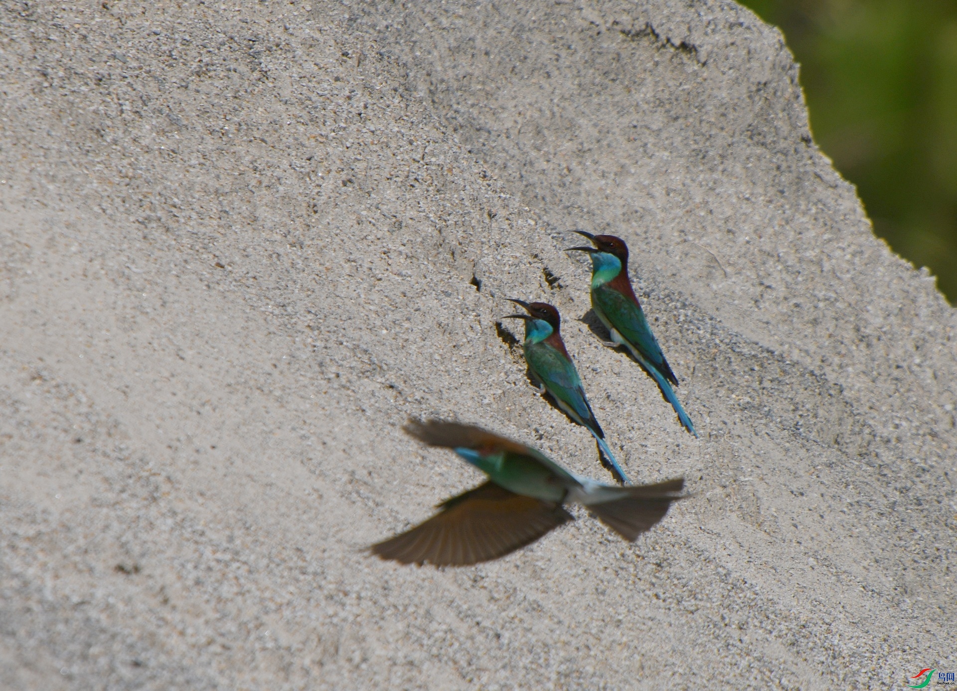 DSC_0127.jpg