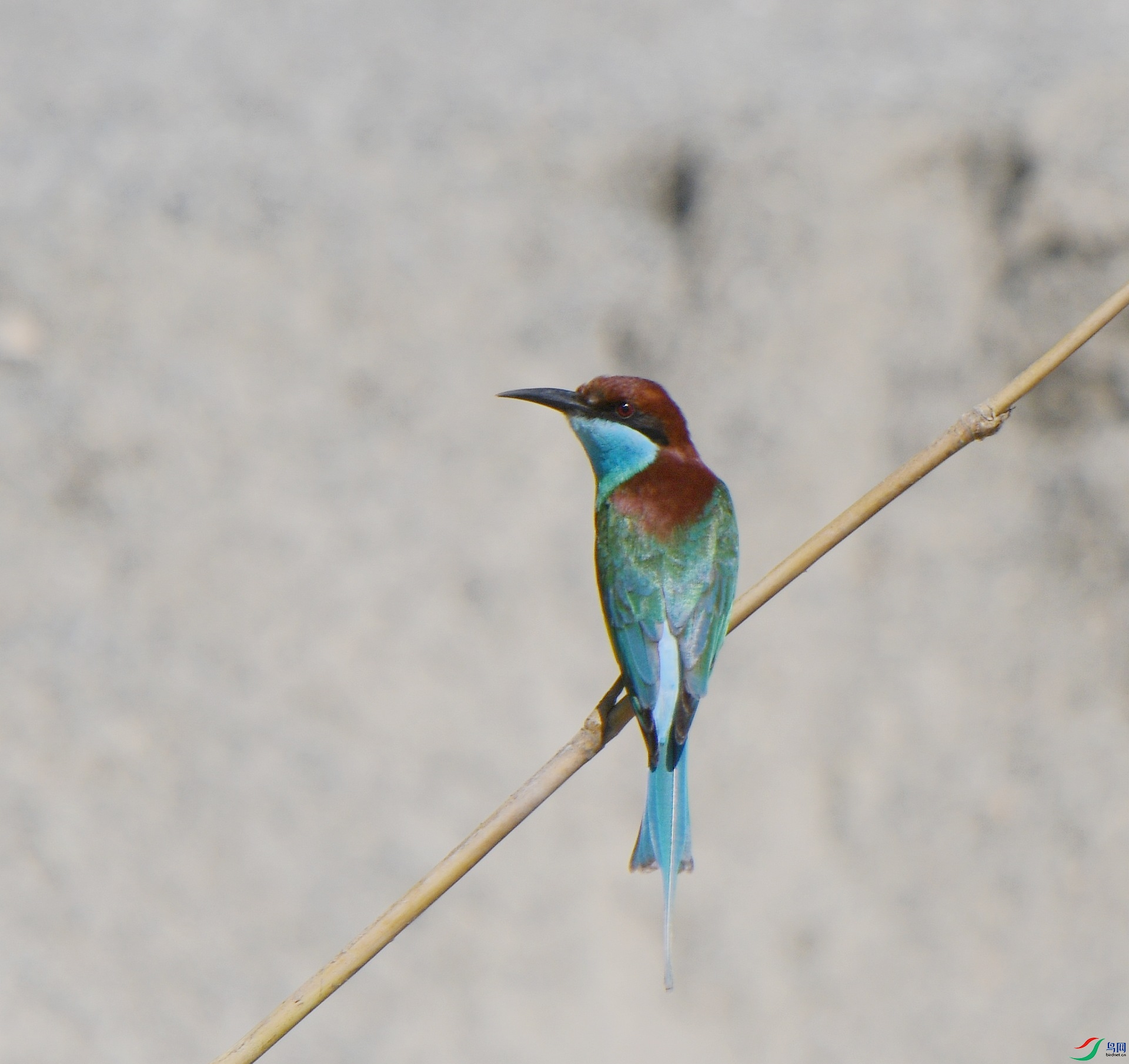 DSC_9972.jpg