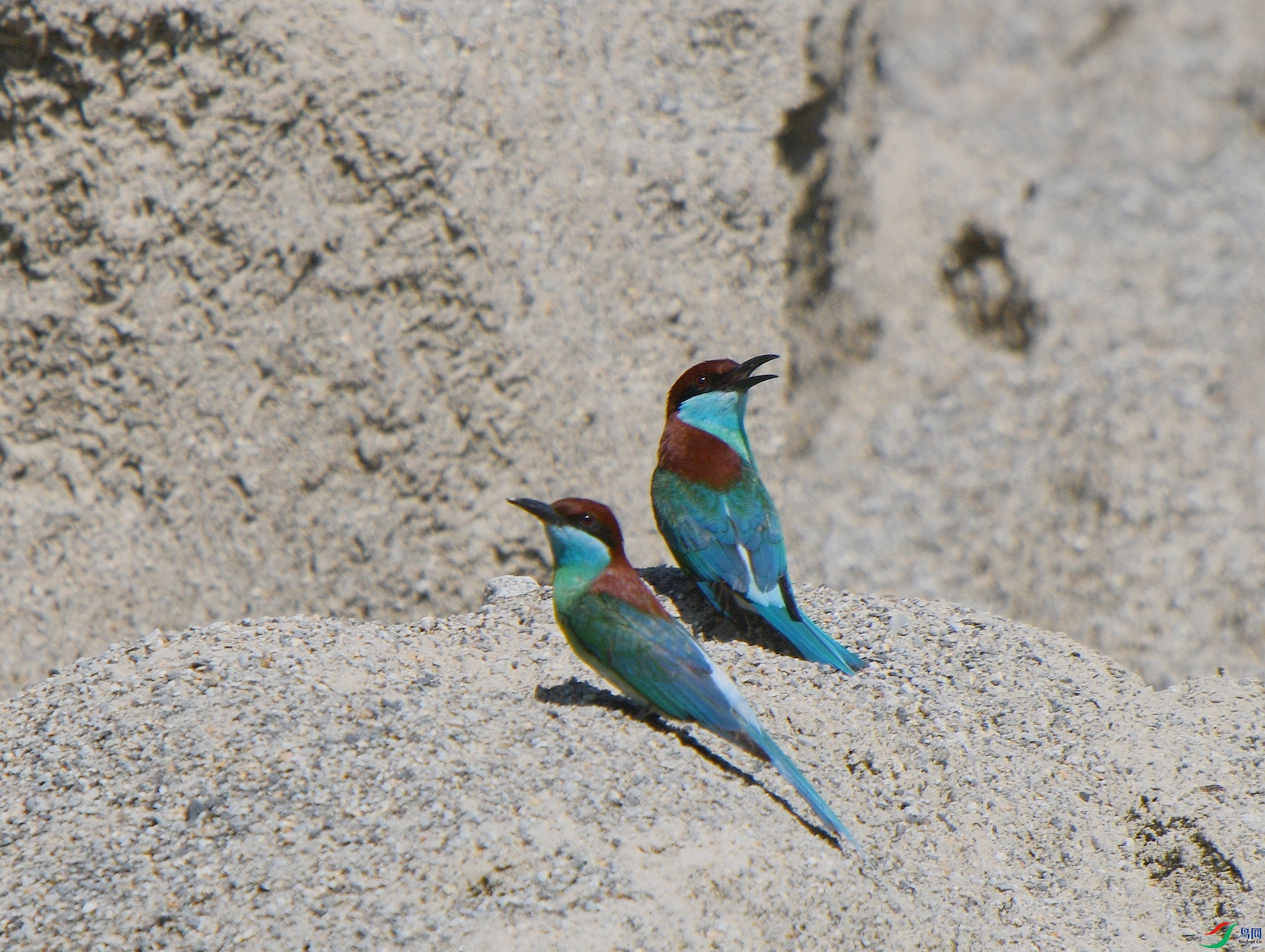 DSC_0056.jpg