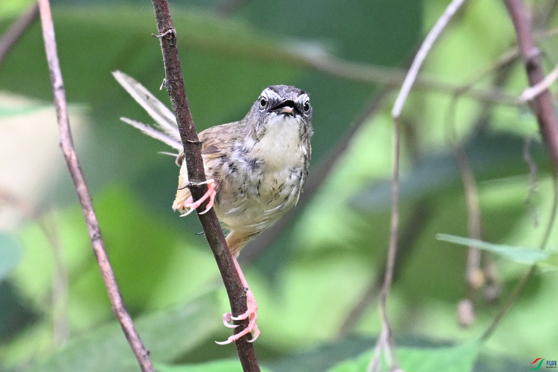 DSC_9982.JPG