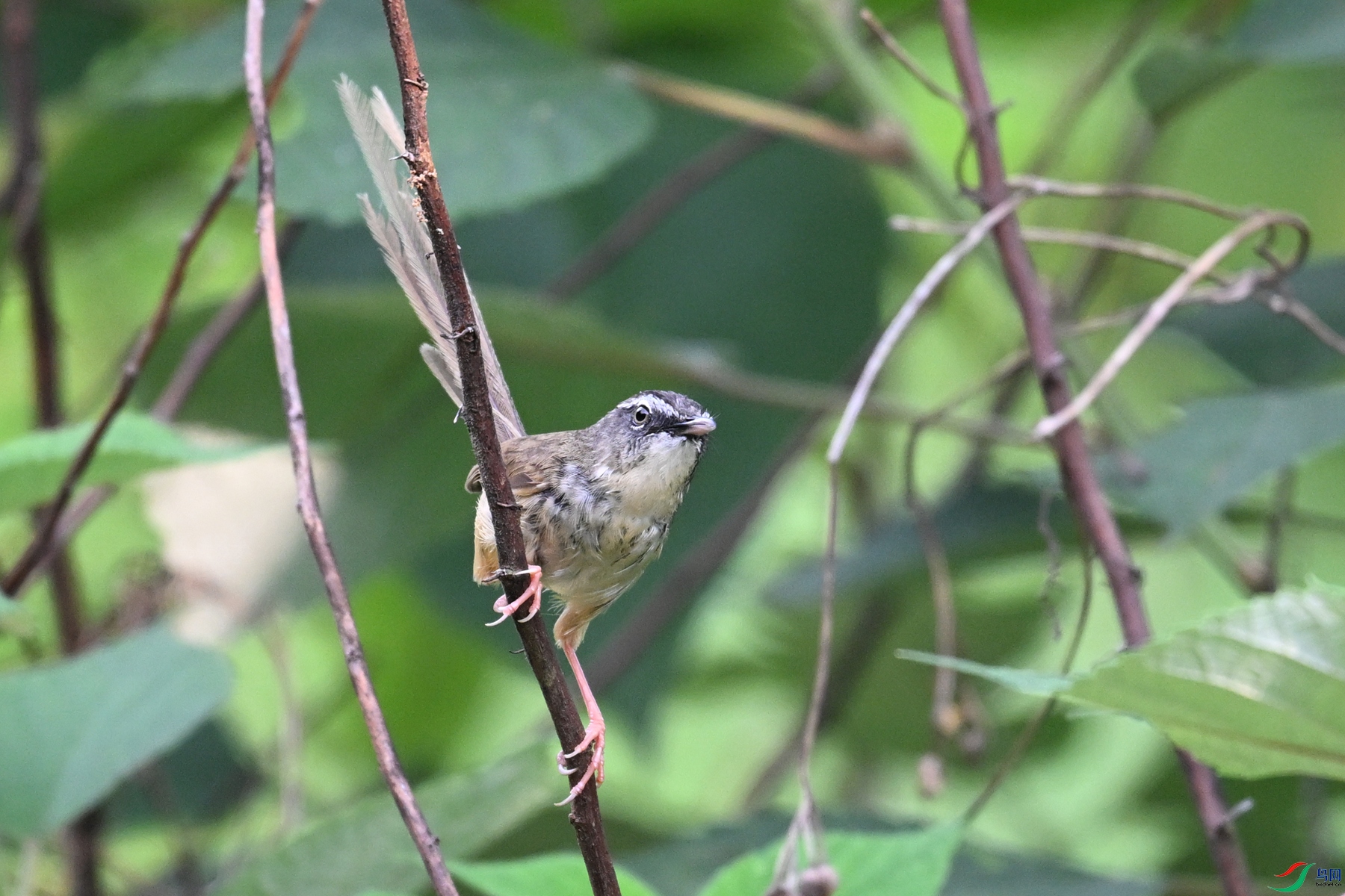 DSC_9986.JPG