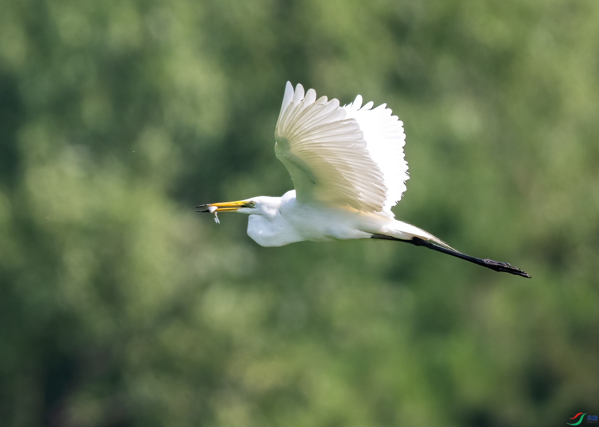 _DSC2345-.jpg