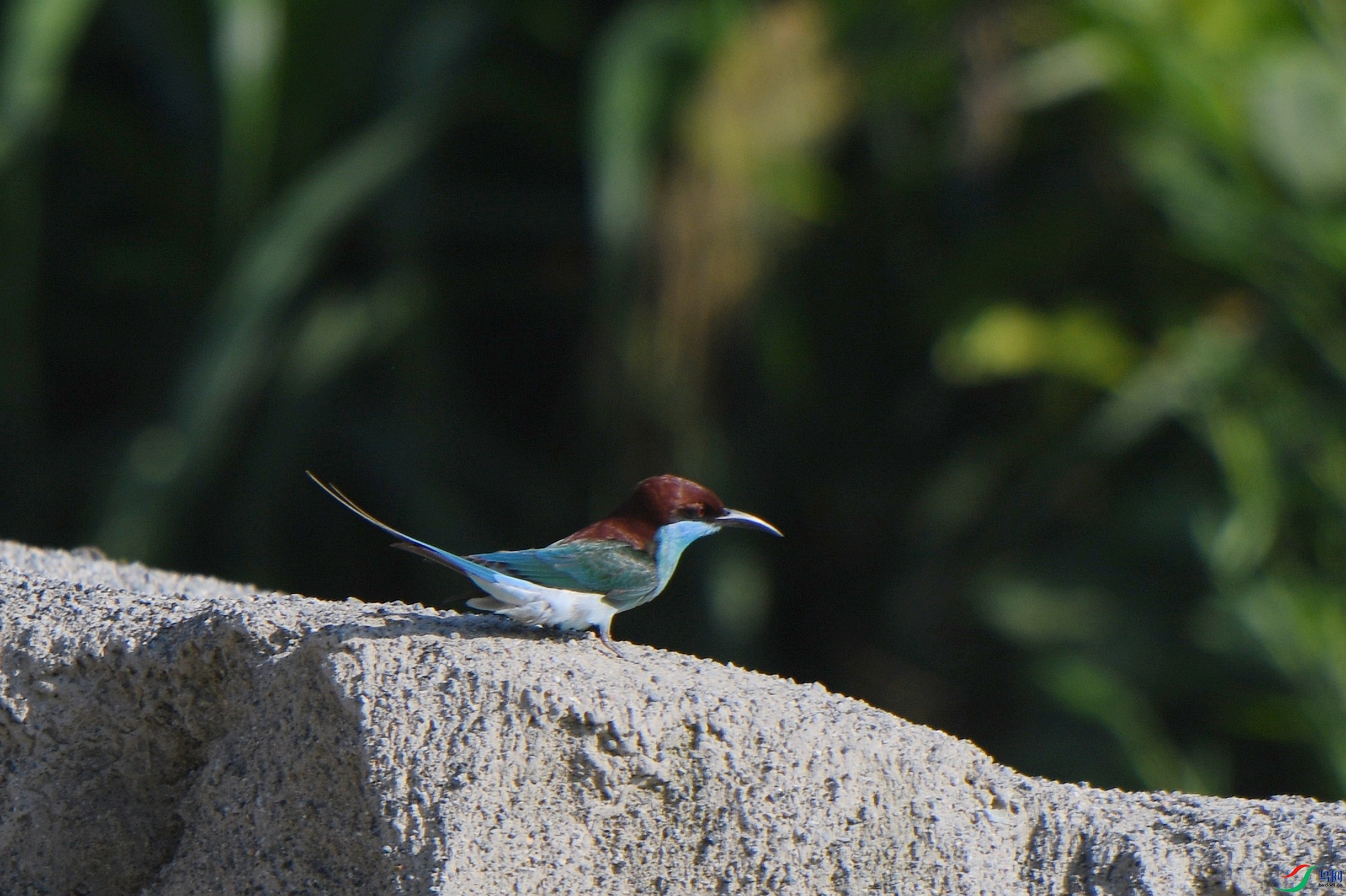 DSC_9914.jpg