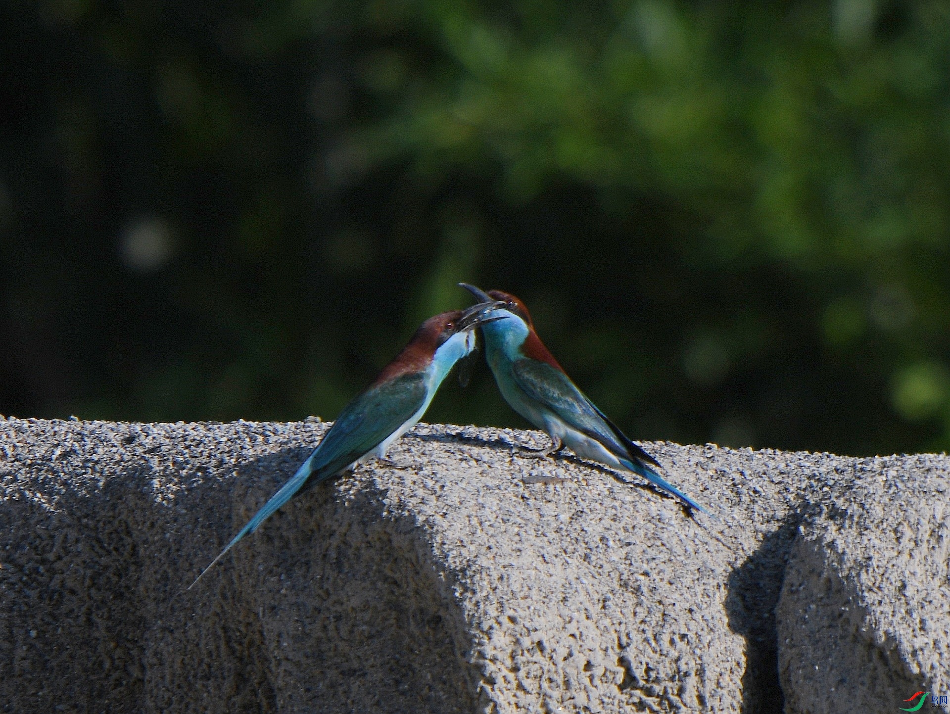 DSC_9908.jpg