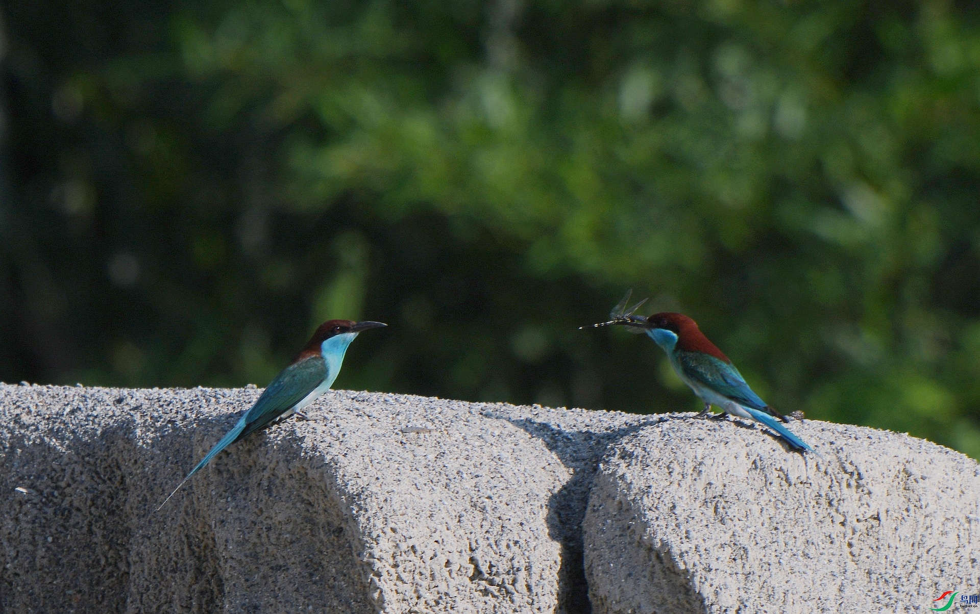 DSC_9905.jpg