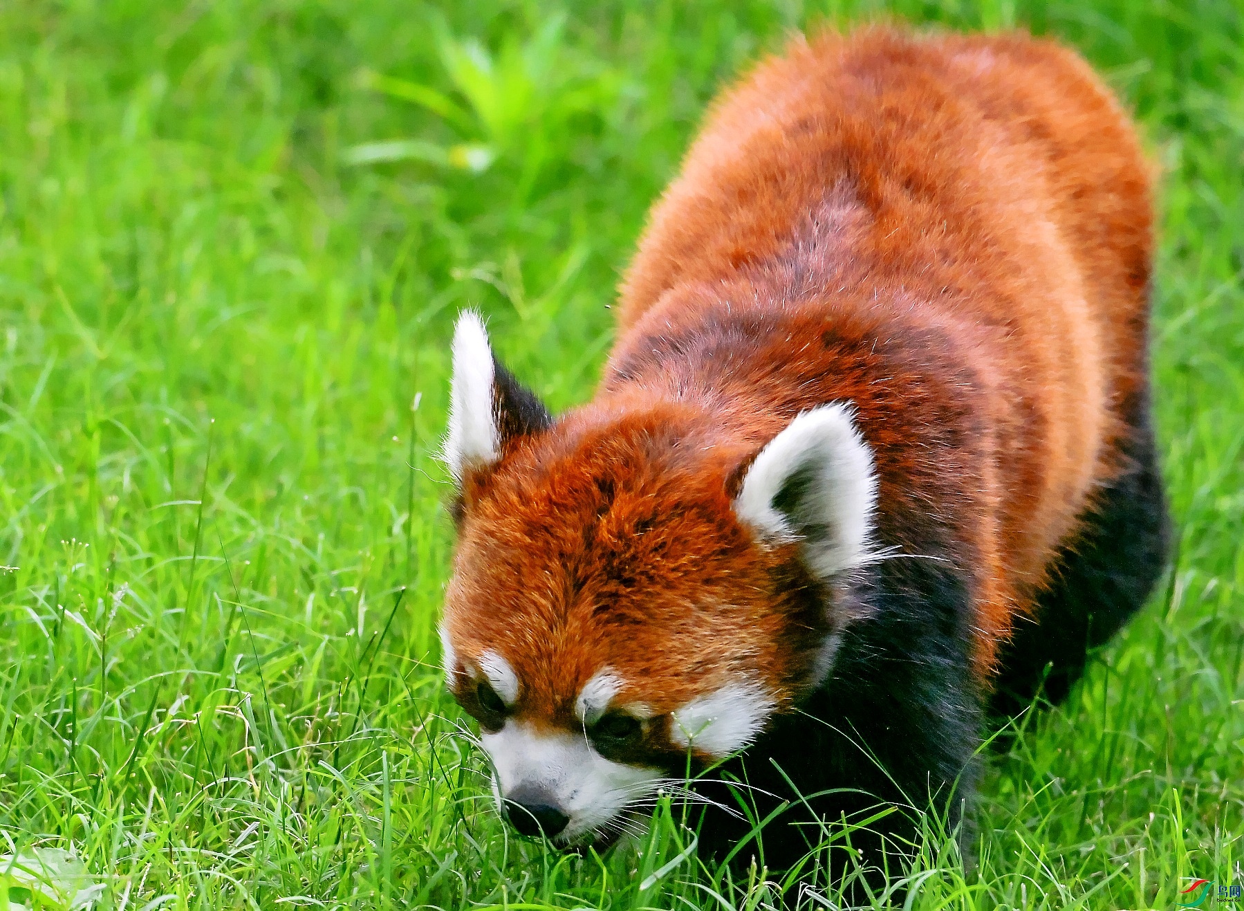 DSC_8242---_conew1.jpg