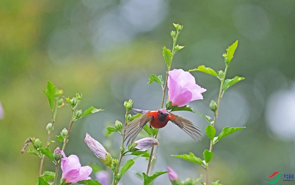 DSCF8909.1.jpg