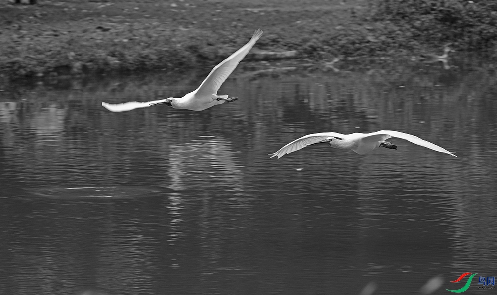 DSCF2112.1.jpg