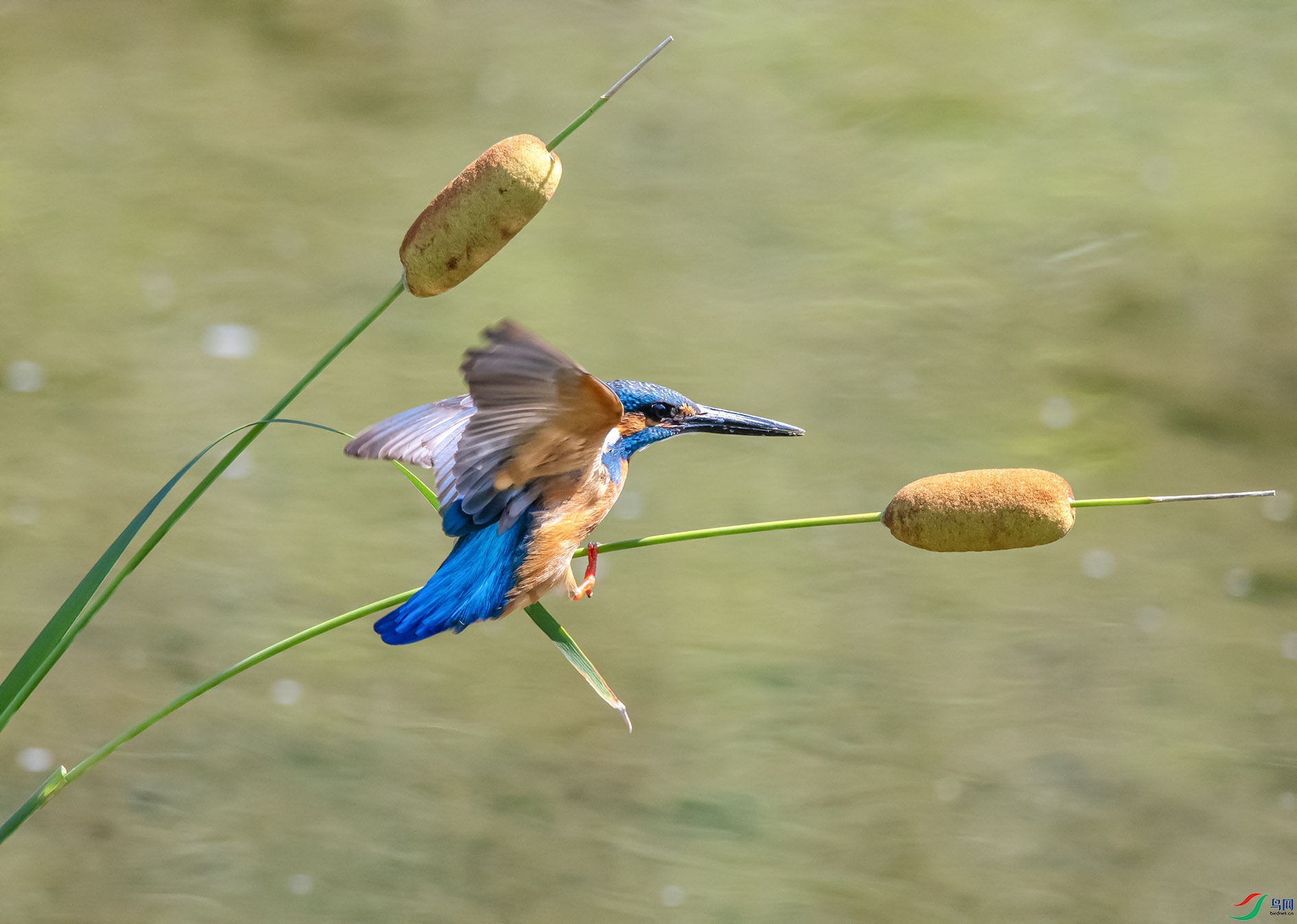DSC_9983_��ͼ�� ����.jpg