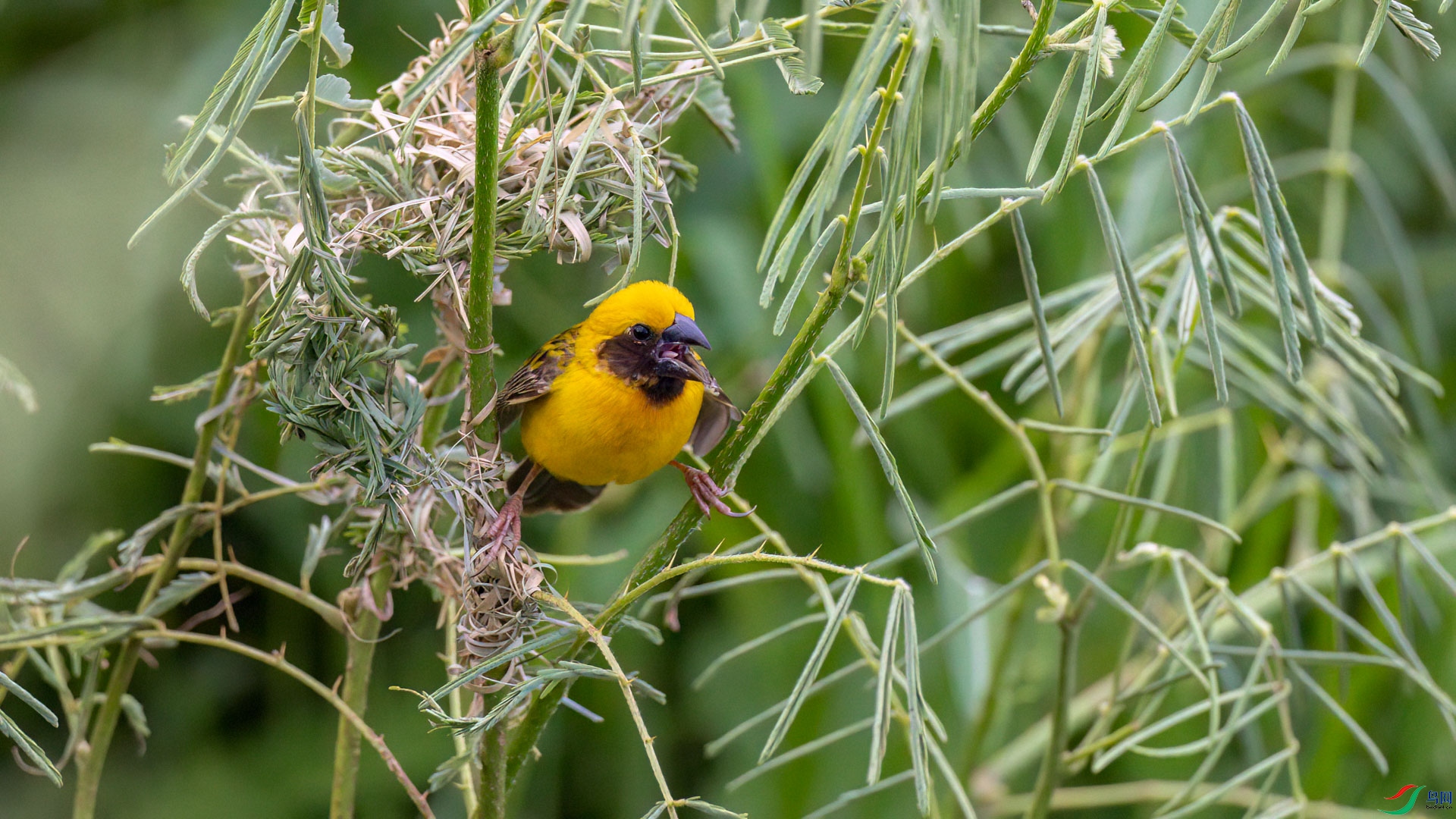 t_023639-�༭.jpg