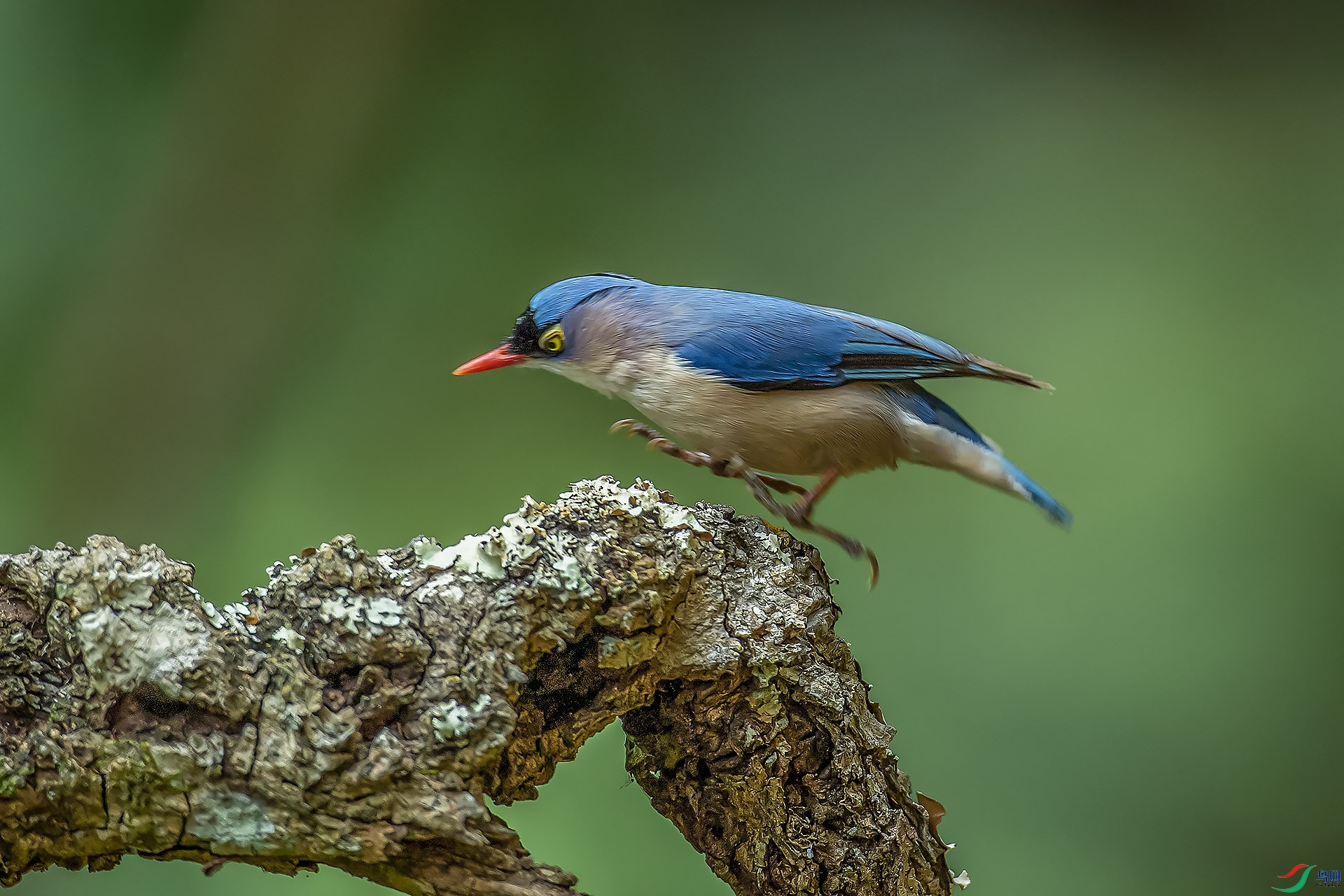 DSC_9131.jpg