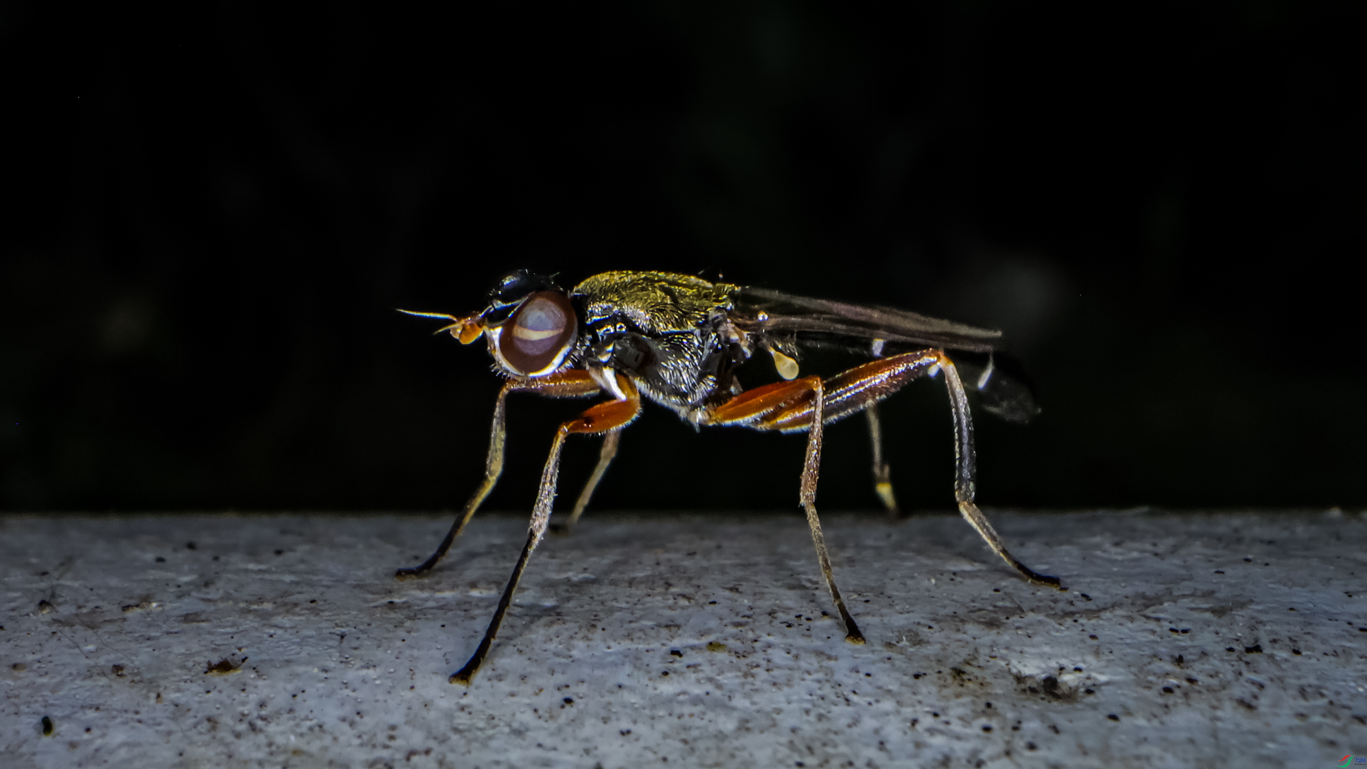 0O7A8698 44.jpg