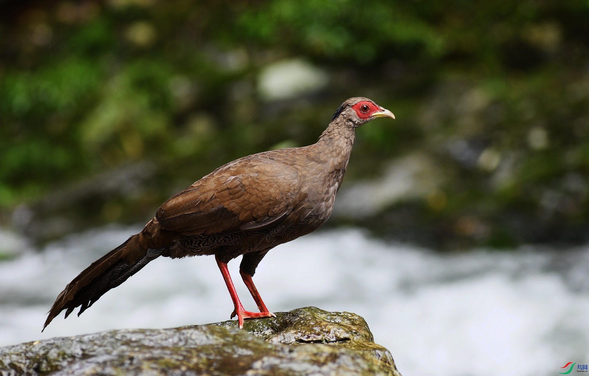 DSC_4325.jpg