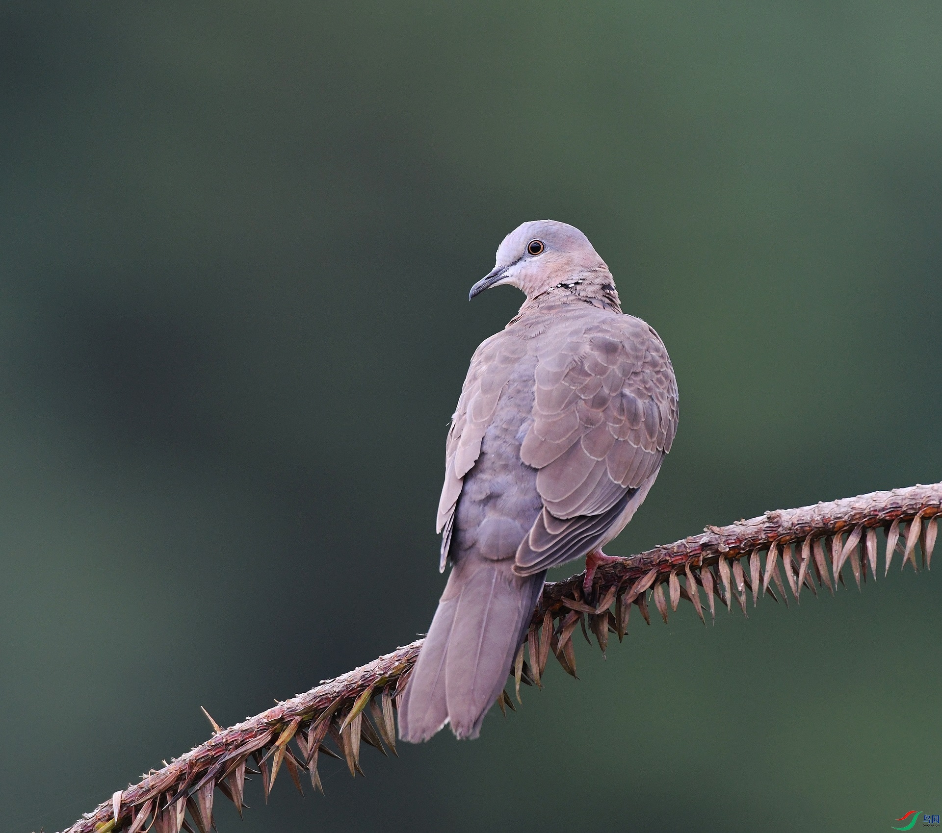 DSC_3573.jpg