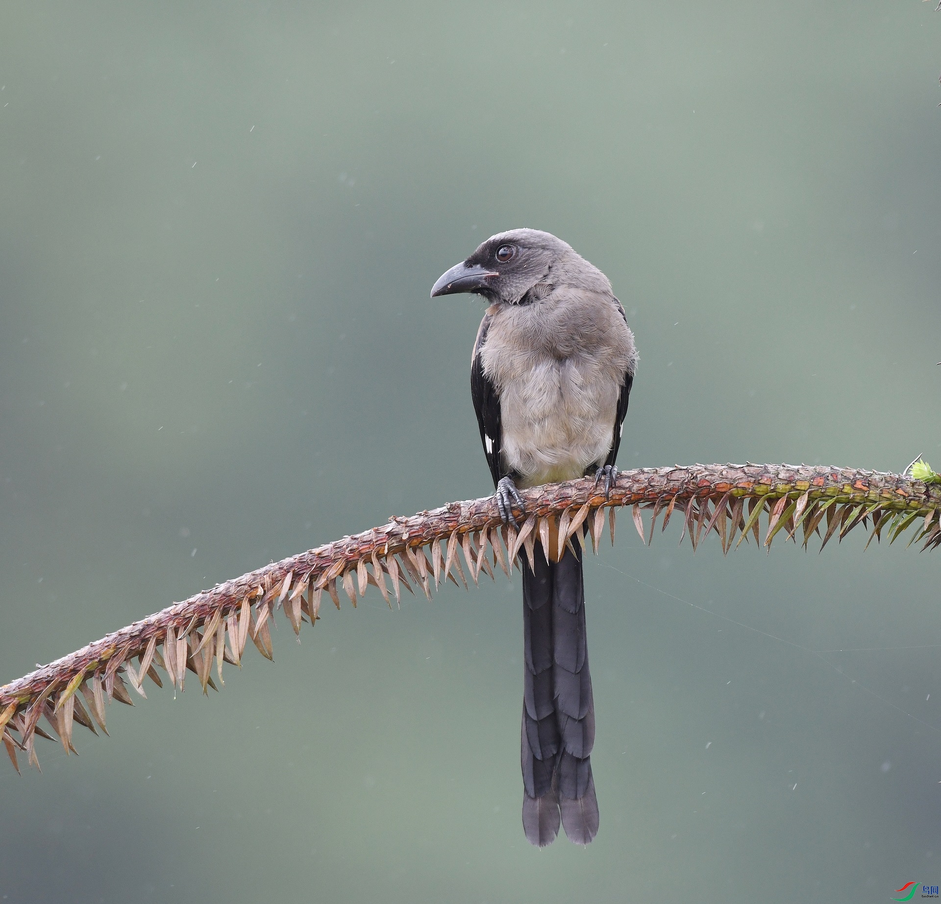 DSC_1877.jpg