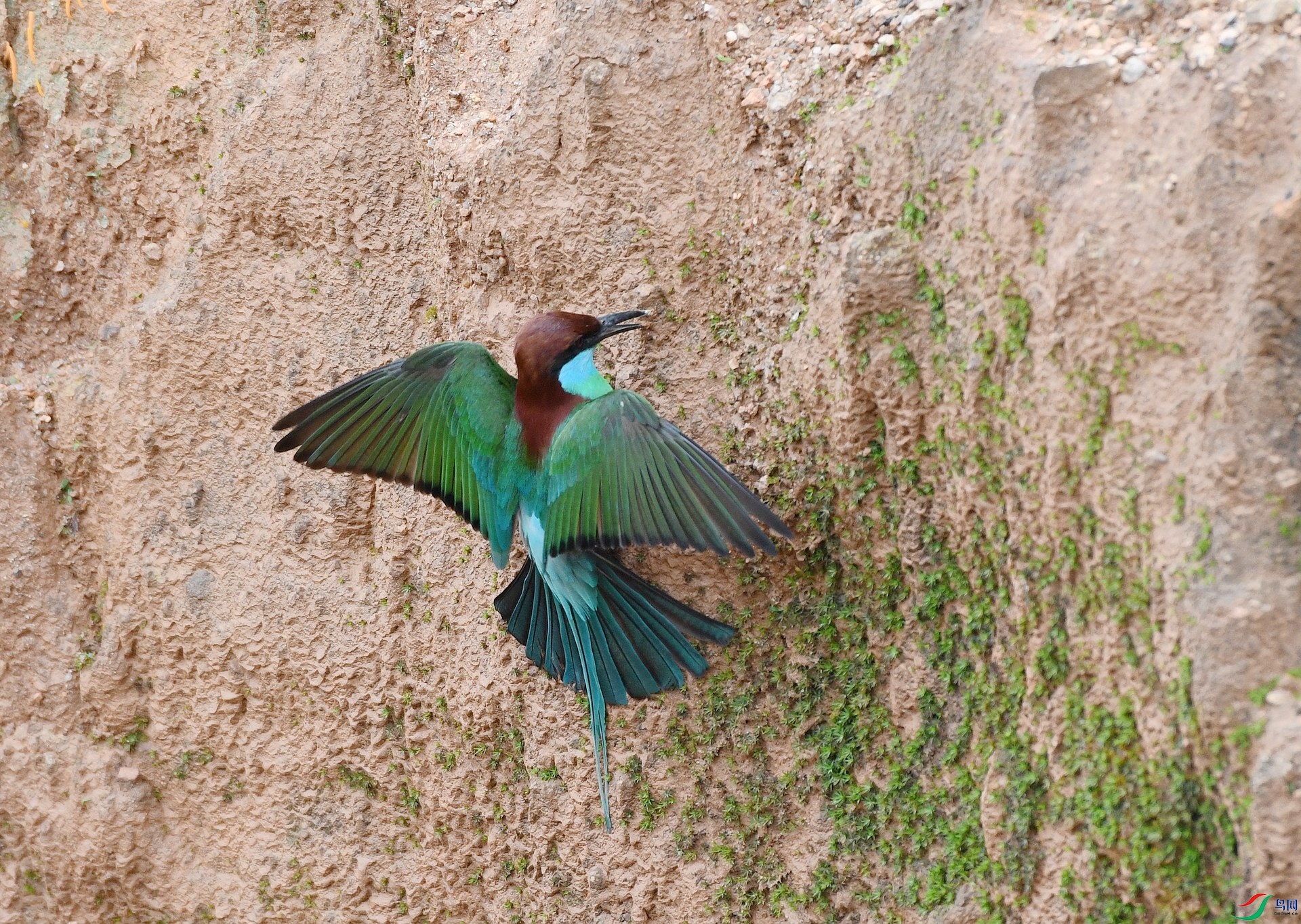 DSC_0288.jpg