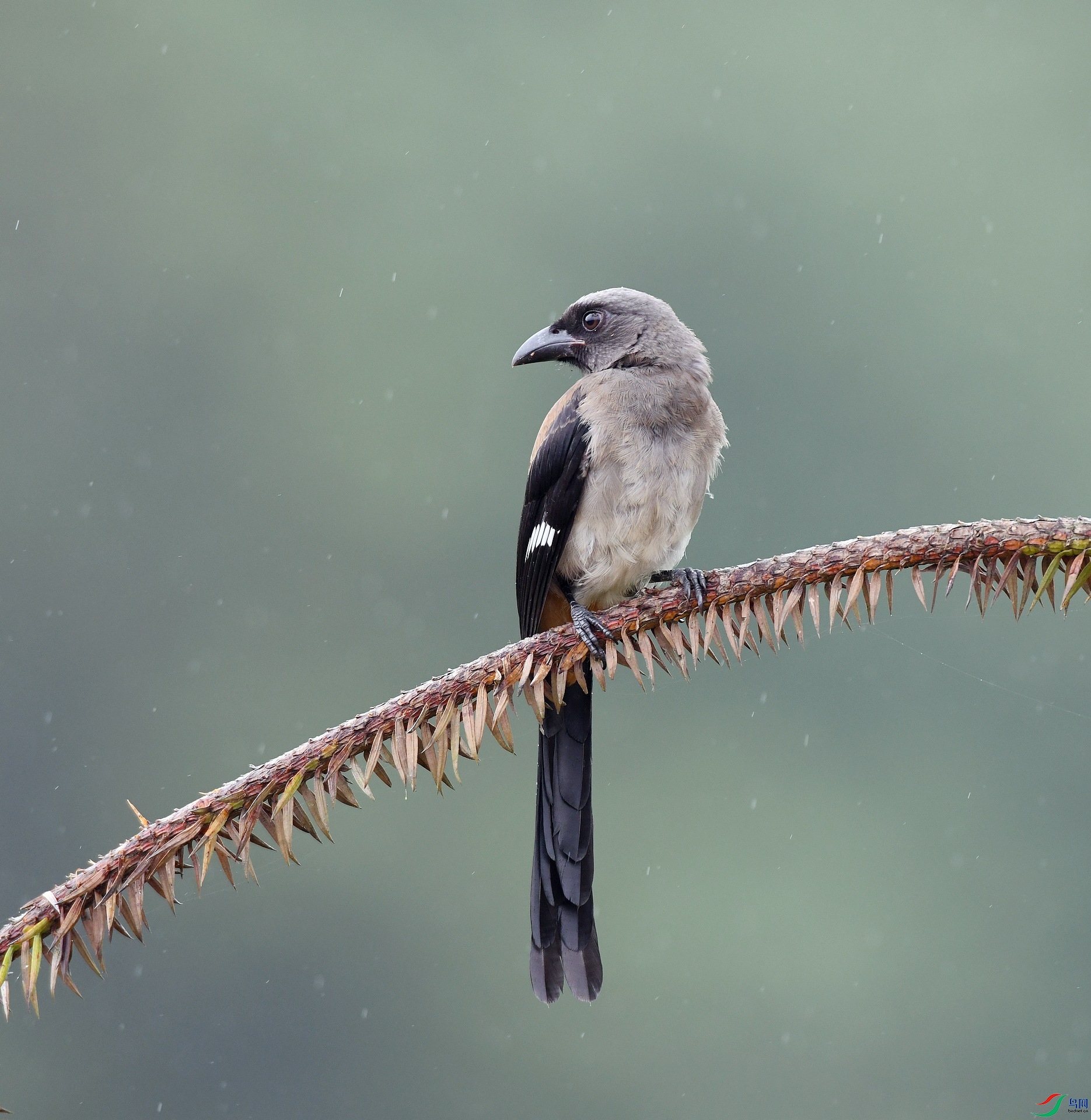 DSC_1834.jpg