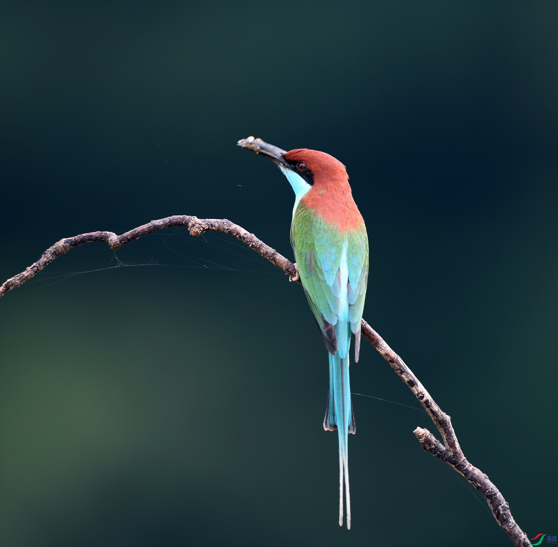 DSC_3473.jpg