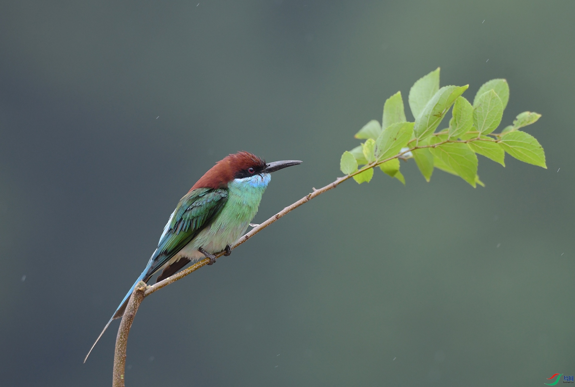 DSC_5589.jpg