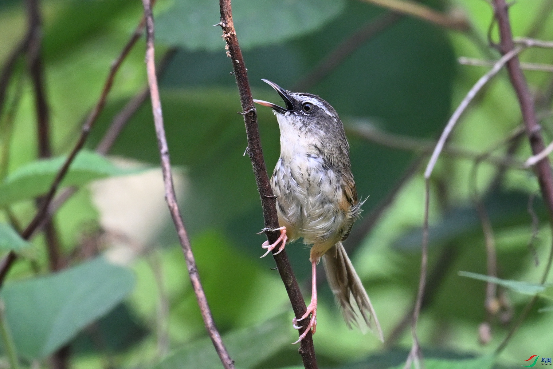 DSC_9993.JPG